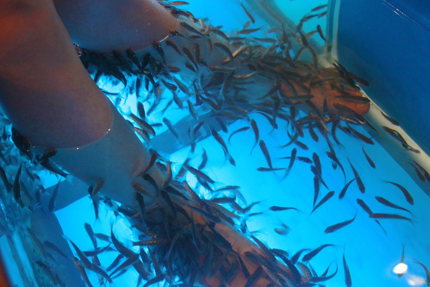 Vua uong ca phe, vua bi ca can o Sai Gon hinh anh