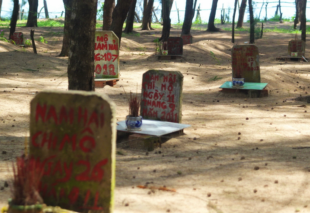 Nghia dia chon hai cot ca ong lon nhat Viet Nam hinh anh