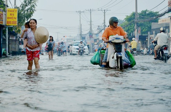Nguoi Sai Gon bo xe, cong con toi truong vi trieu cuong hinh anh