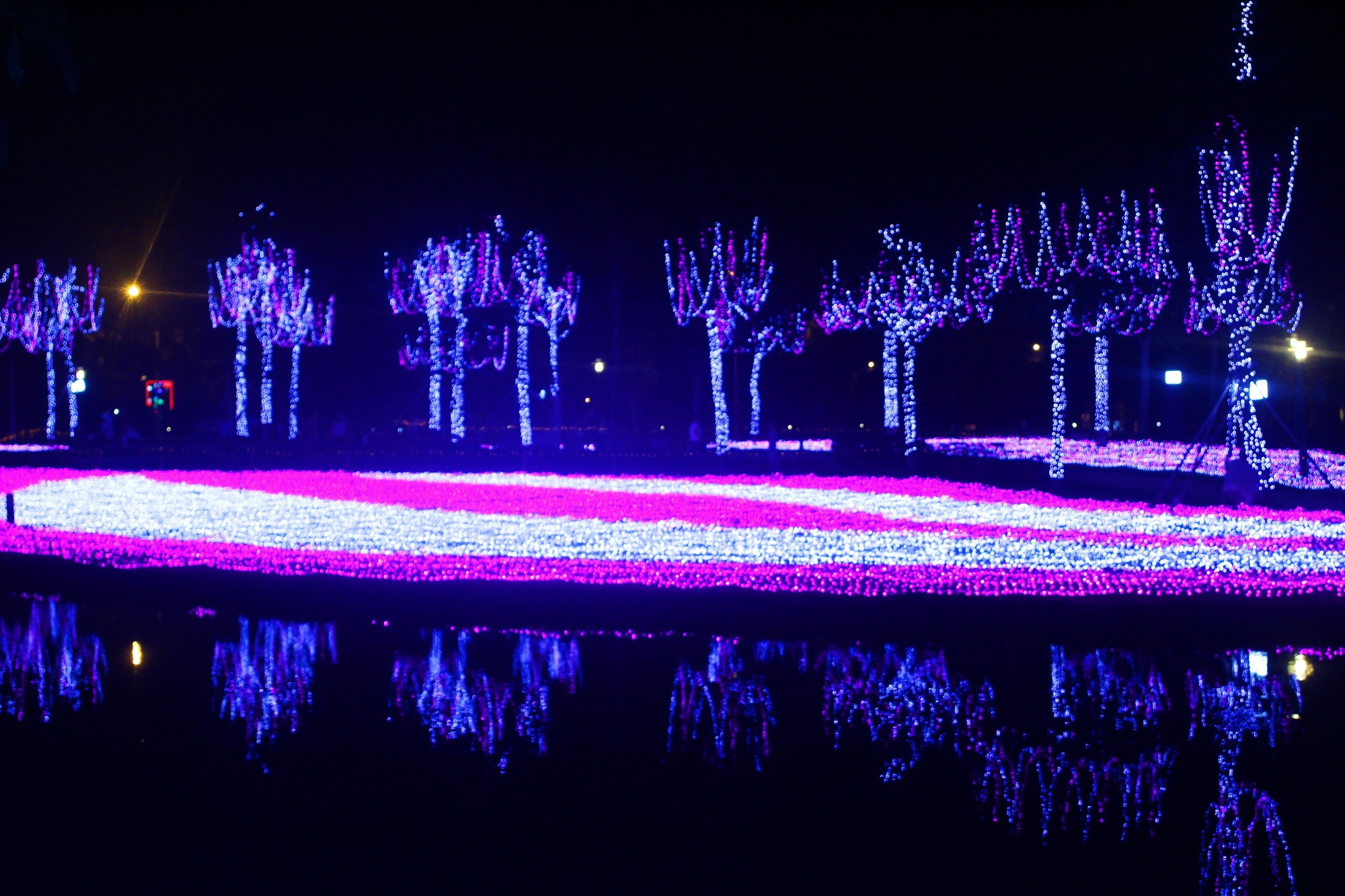 Nua trieu bong den lung linh o cong vien Sai Gon hinh anh