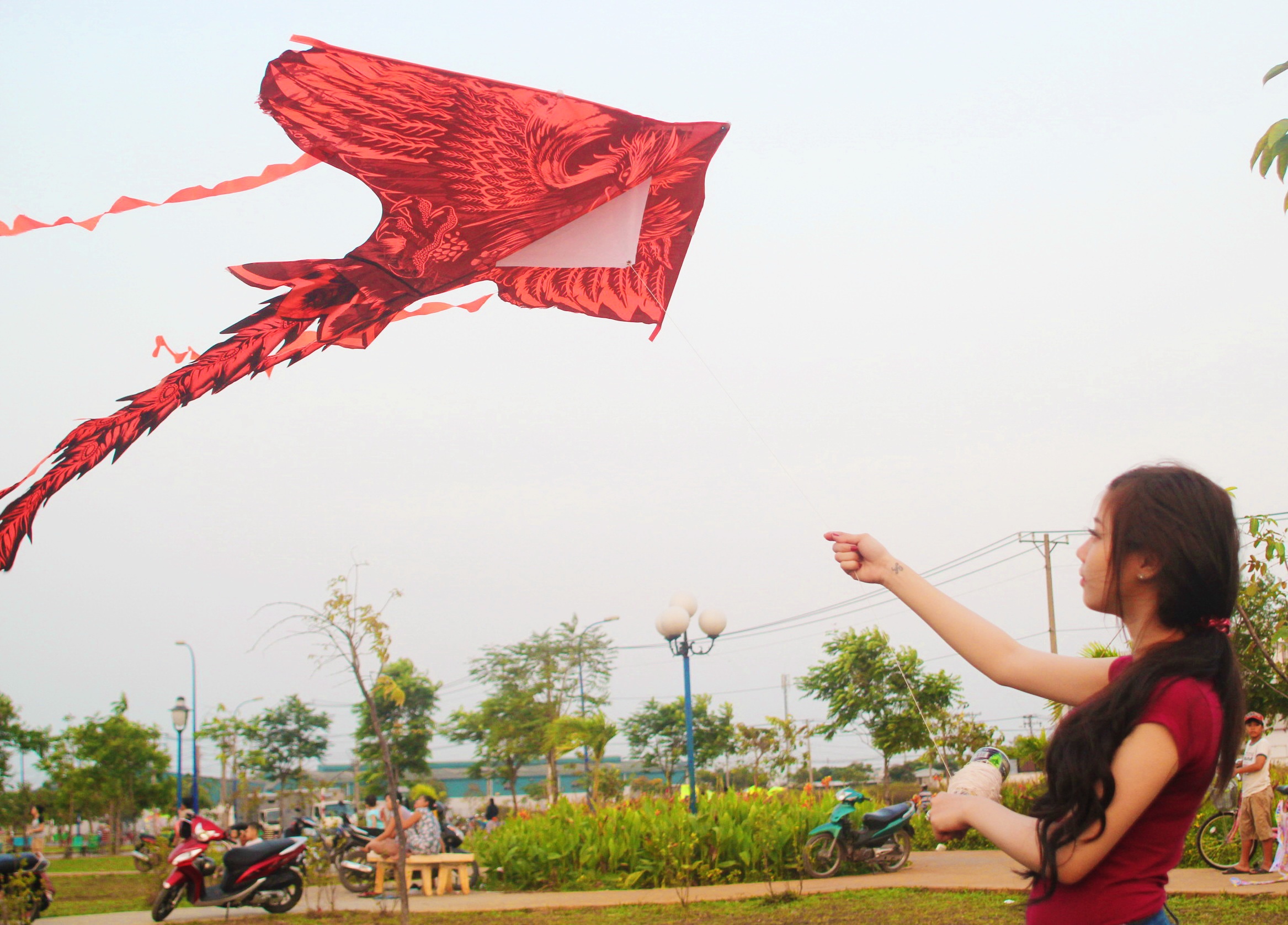 Dieu bay ngap troi Sai Gon hinh anh