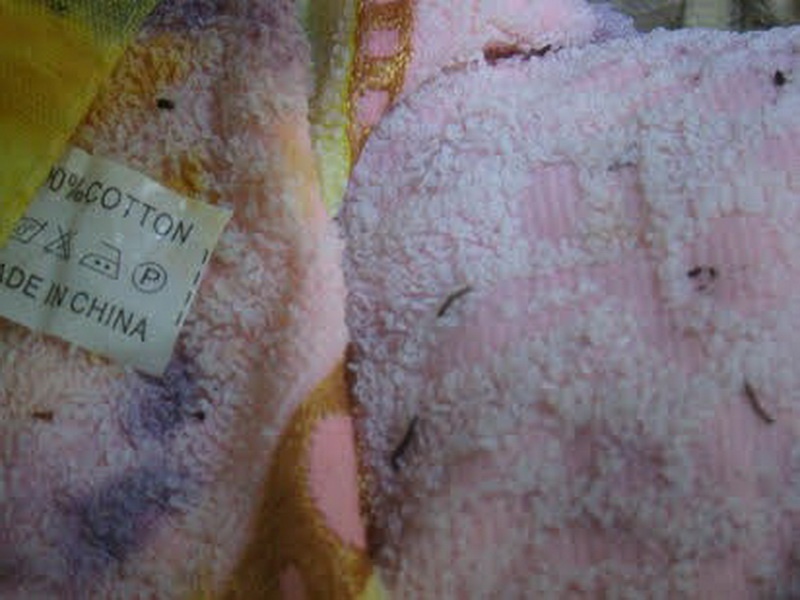 Khan 'Made in China' ngam nuoc co au trung la hinh anh