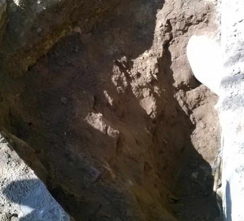 Song sot hy huu sau 1 gio bi dat cat vui sau 3m hinh anh