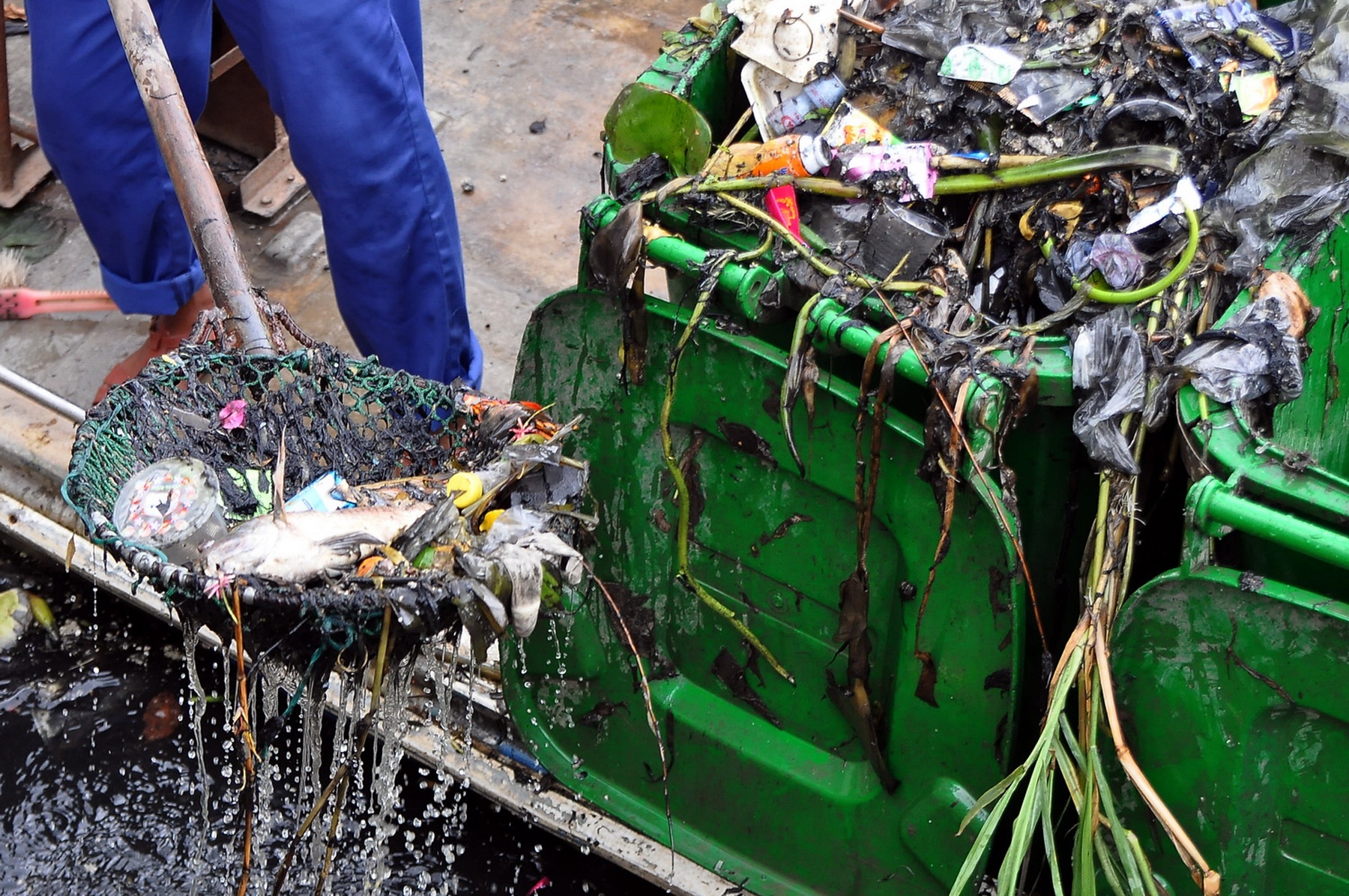 Ca chet boc mui tren kenh o Sai Gon hinh anh