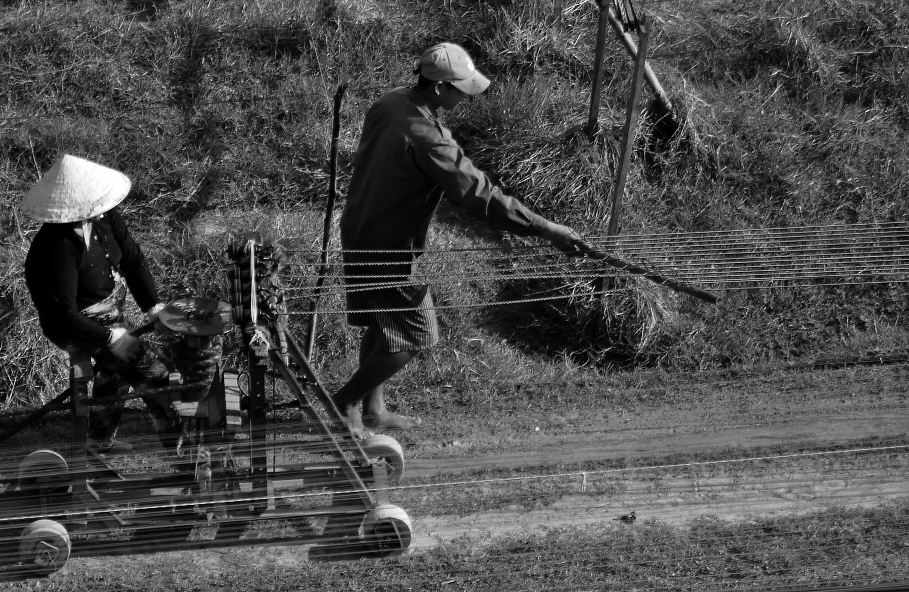 Xom chay day tren canh dong bo hoang hinh anh