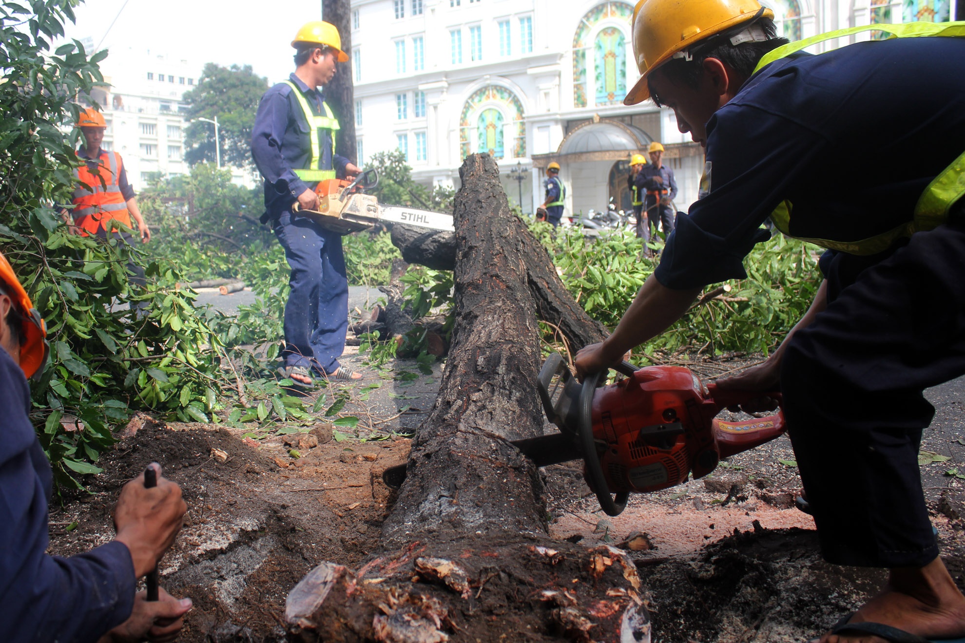 Nguoi dan Sai Gon tiec nuoi khi hang cay truoc Nha hat Lon bi chat bo hinh anh