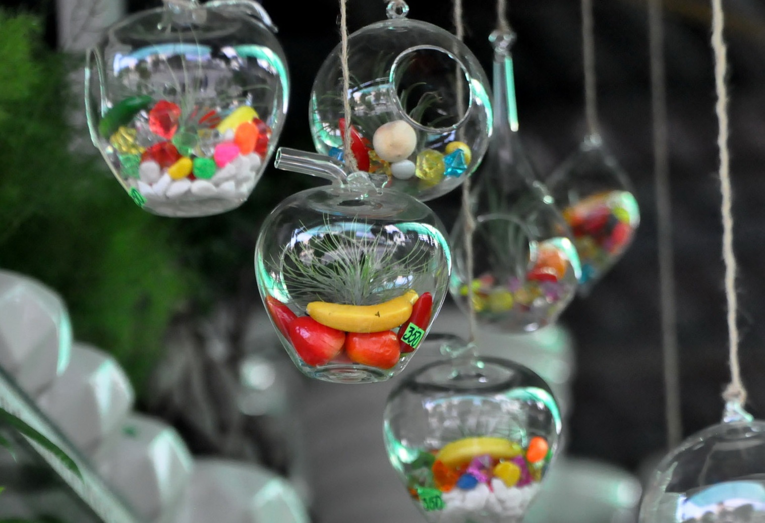 Cay 'khong khi' bay ban o Sai Gon hinh anh