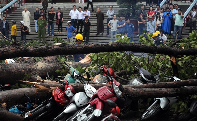 Hang loat co thu o Sai Gon bat goc de bep oto, xe may hinh anh