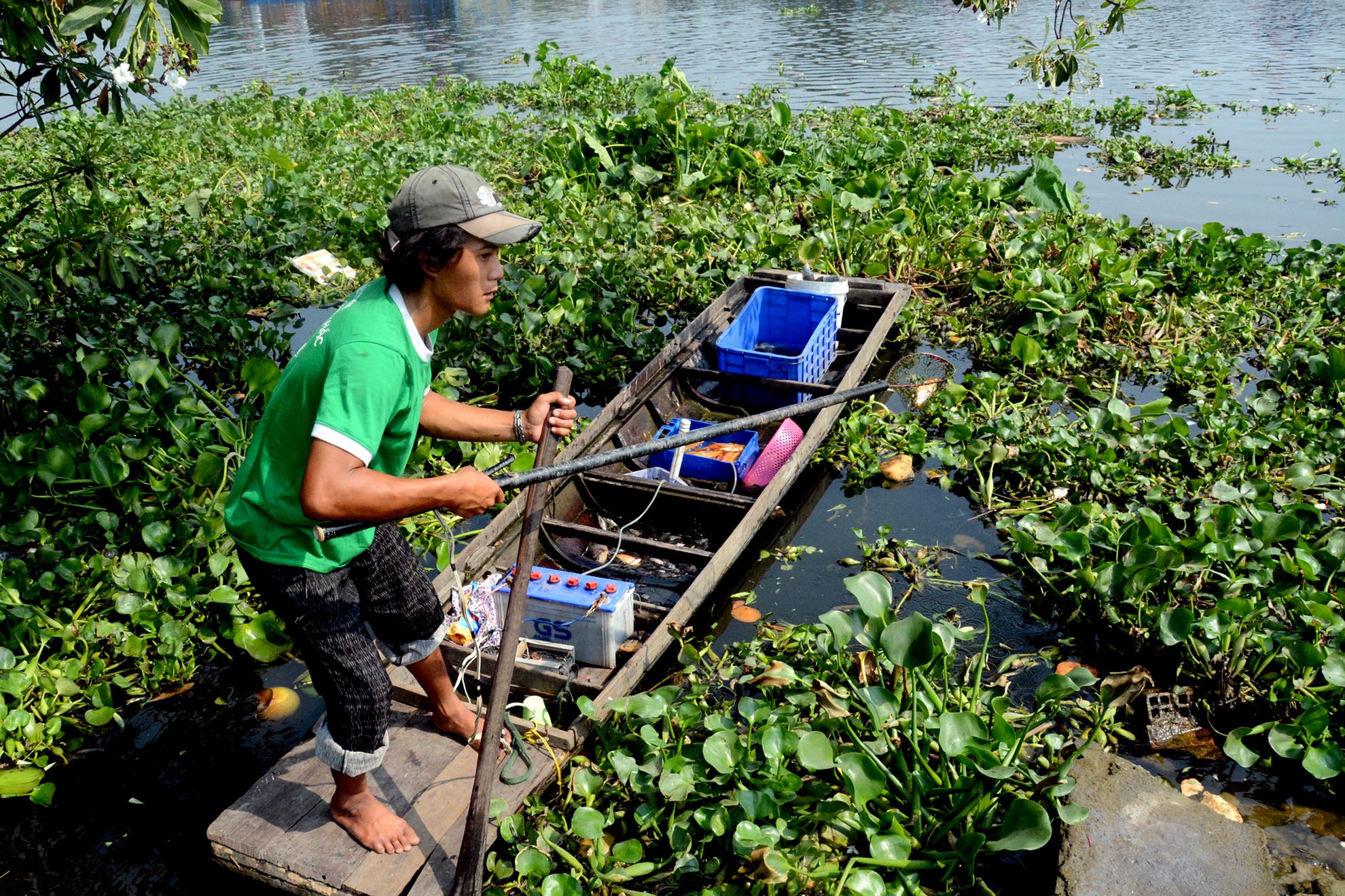 Bat luc nhin ca chep bi chich dien khi vua tha hinh anh
