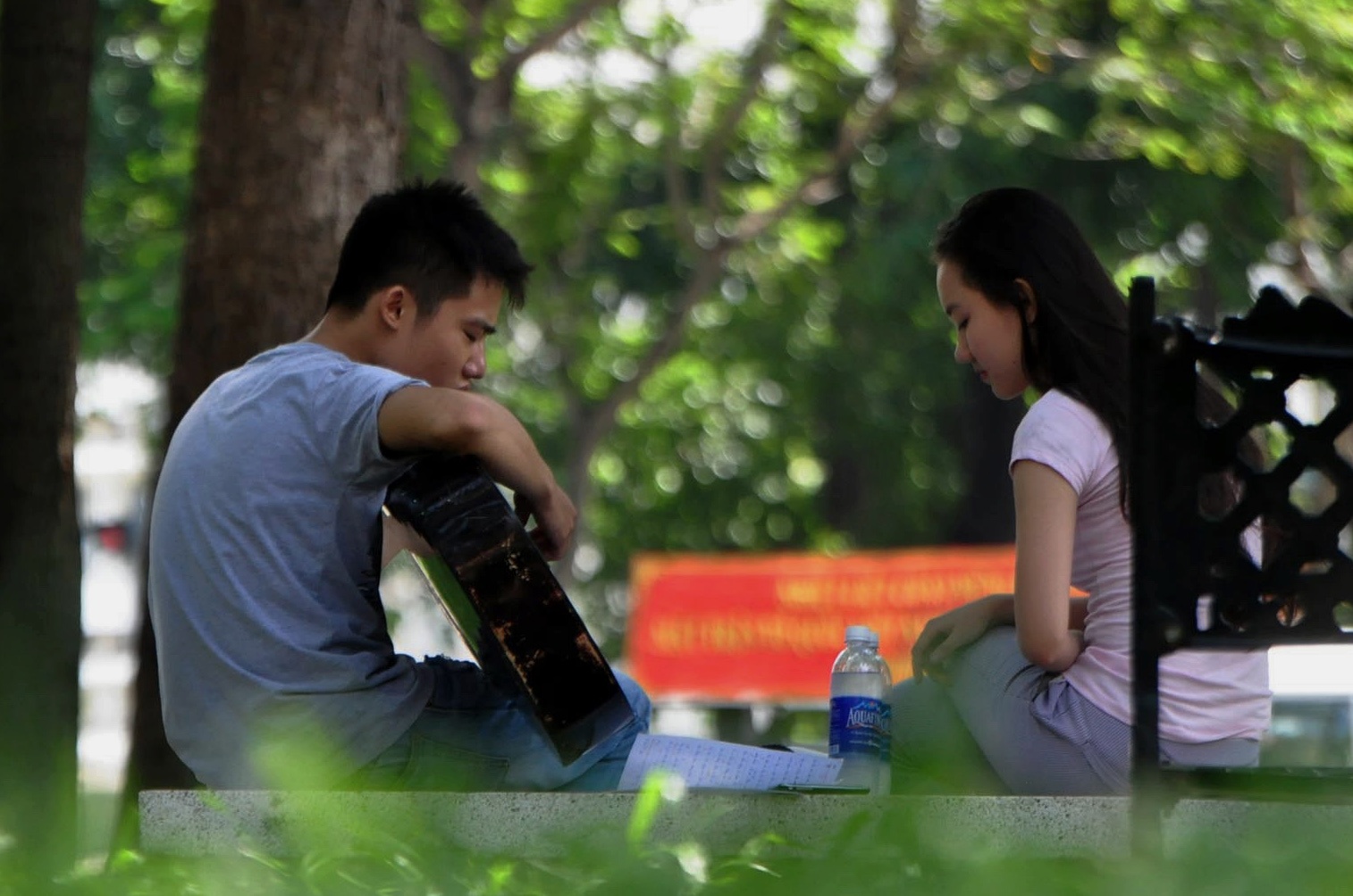 Nguoi Sai Gon 'tron' nang duoi bong cay xanh hinh anh