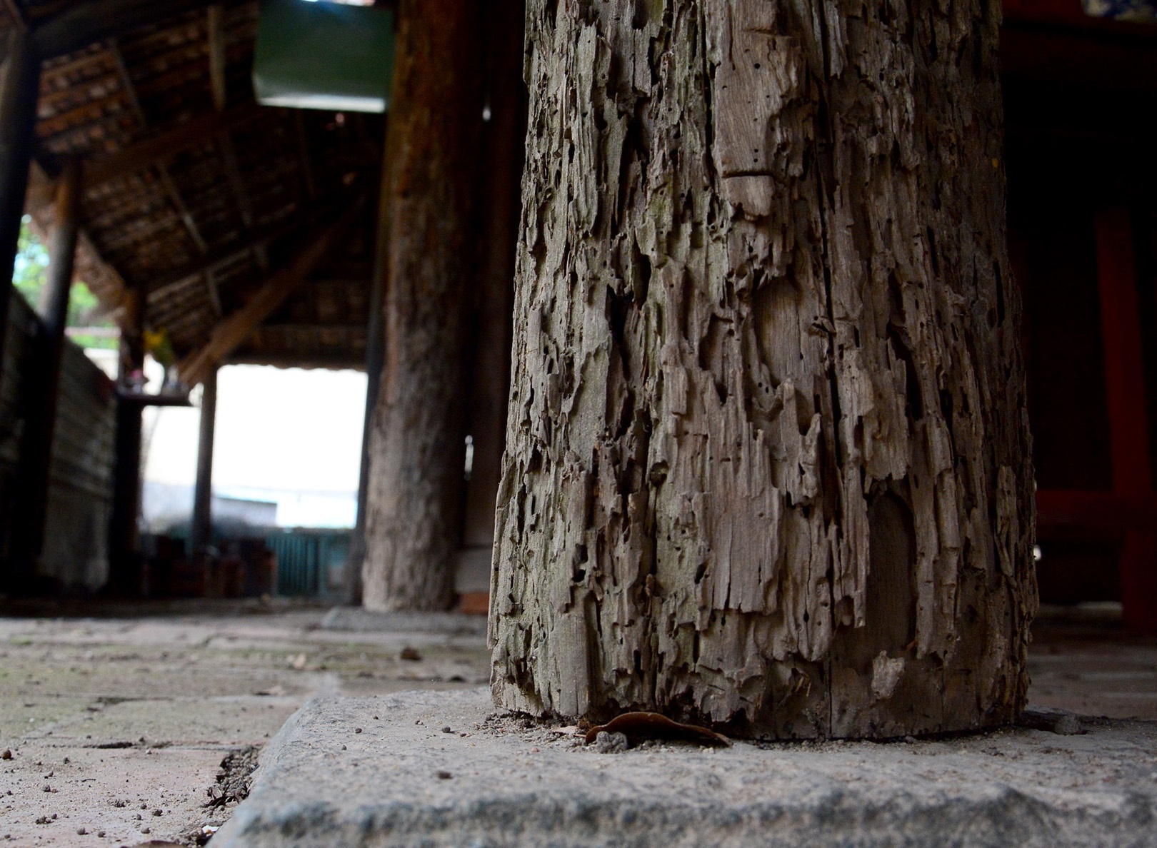 Di tich kien truc nghe thuat quoc gia o Sai Gon xuong cap hinh anh