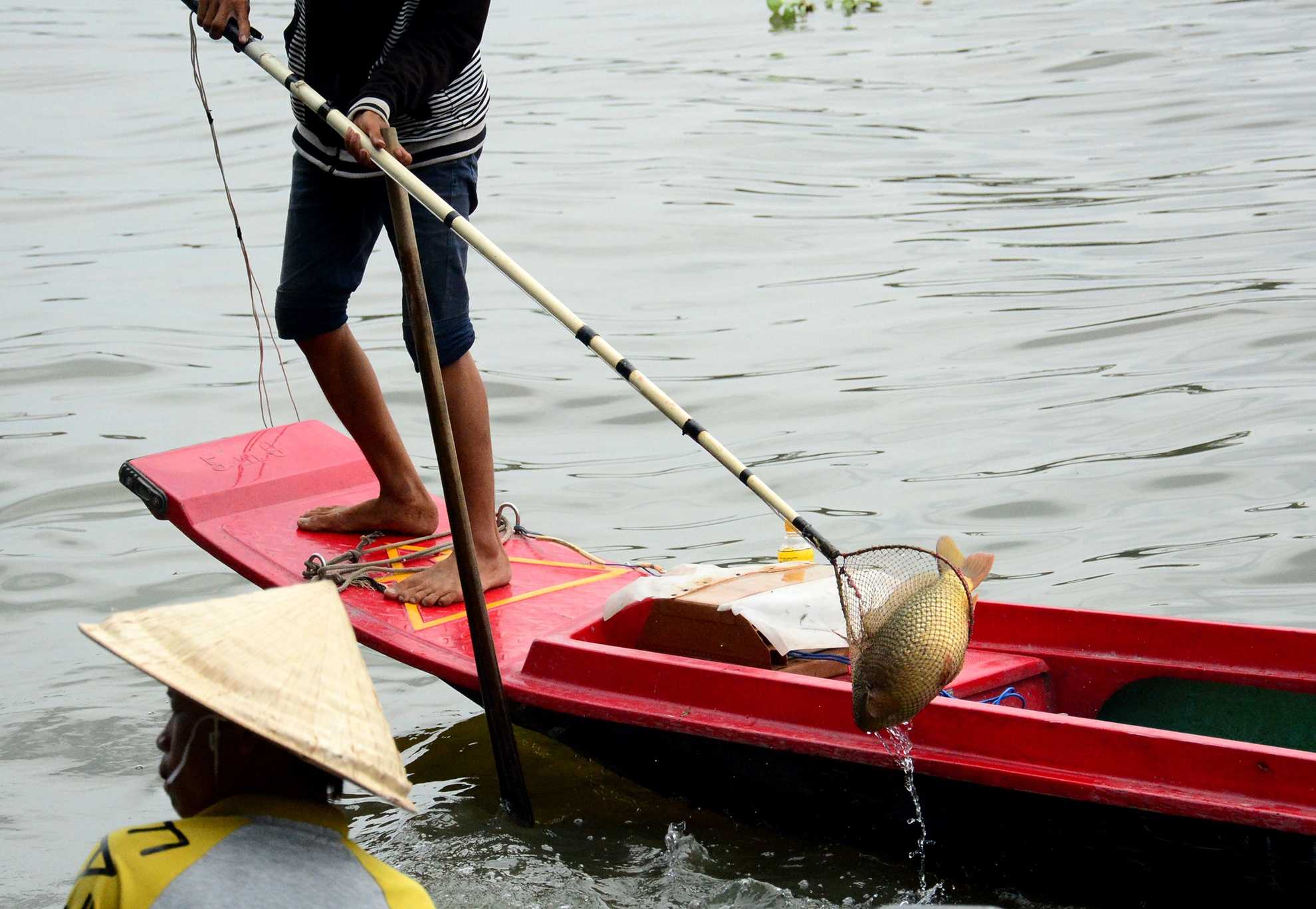 Ca tha phong sinh bi vot ngay truoc mat tren song Sai Gon hinh anh
