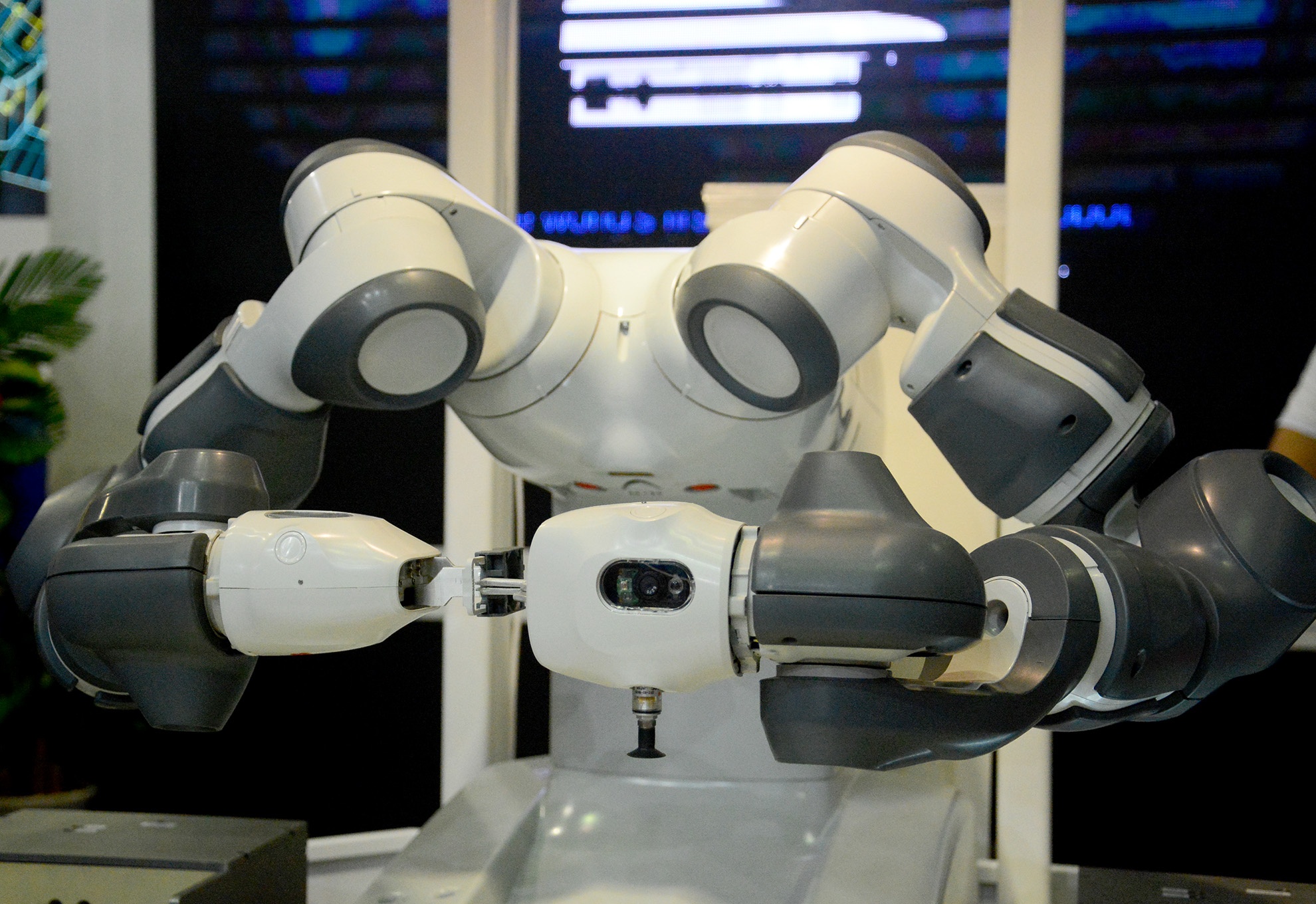 Robot biet lam viec voi nguoi den Viet Nam hinh anh