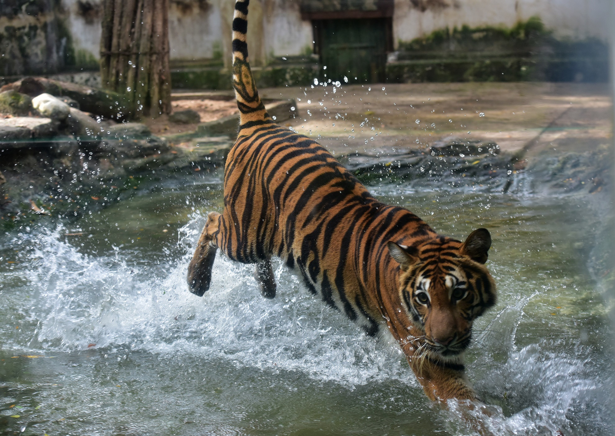 Thao Cam Vien Sai Gon tron 150 tuoi hinh anh