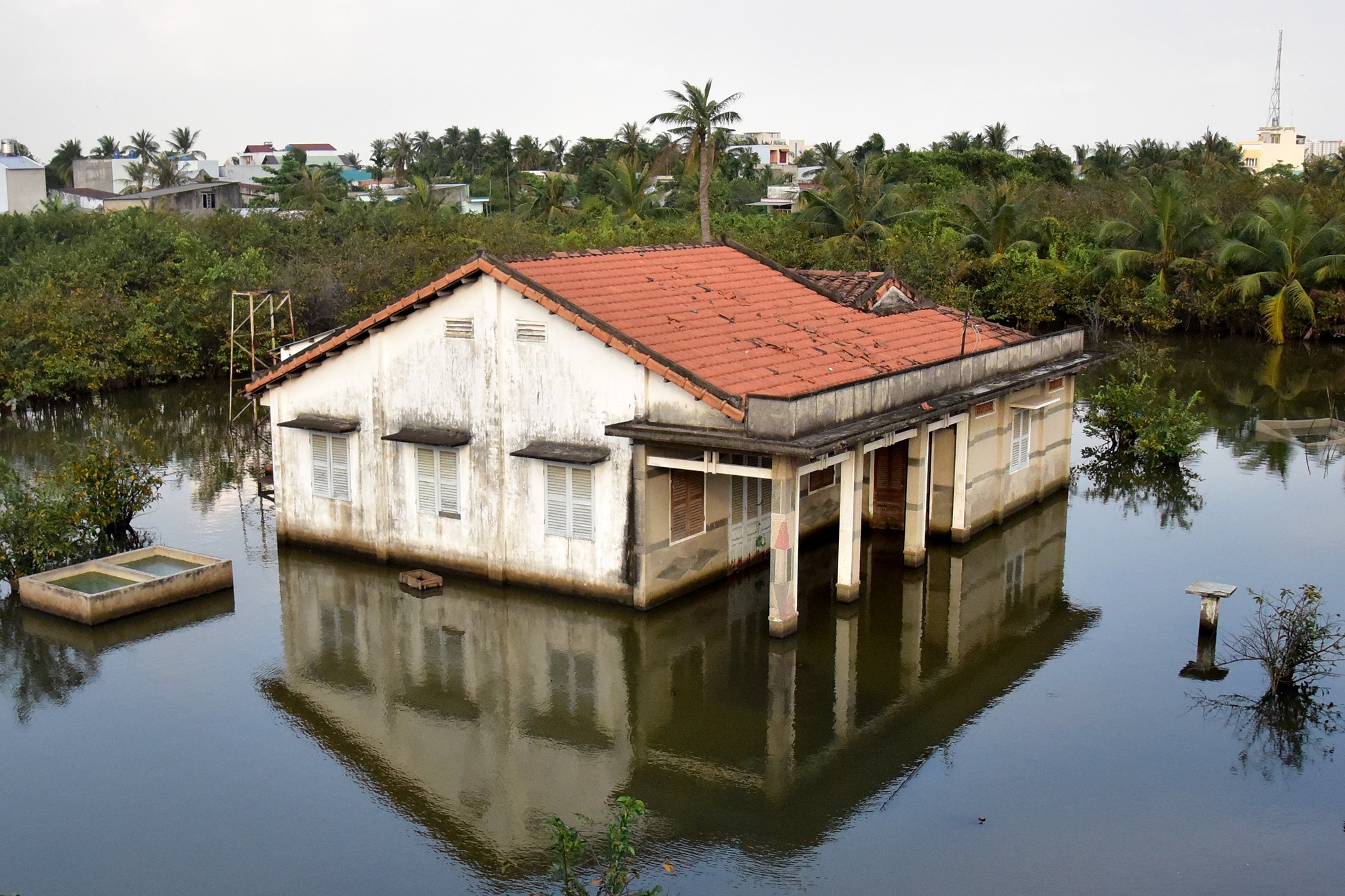 Ngoi nha ngap nuoc 10 nam o Sai Gon hinh anh