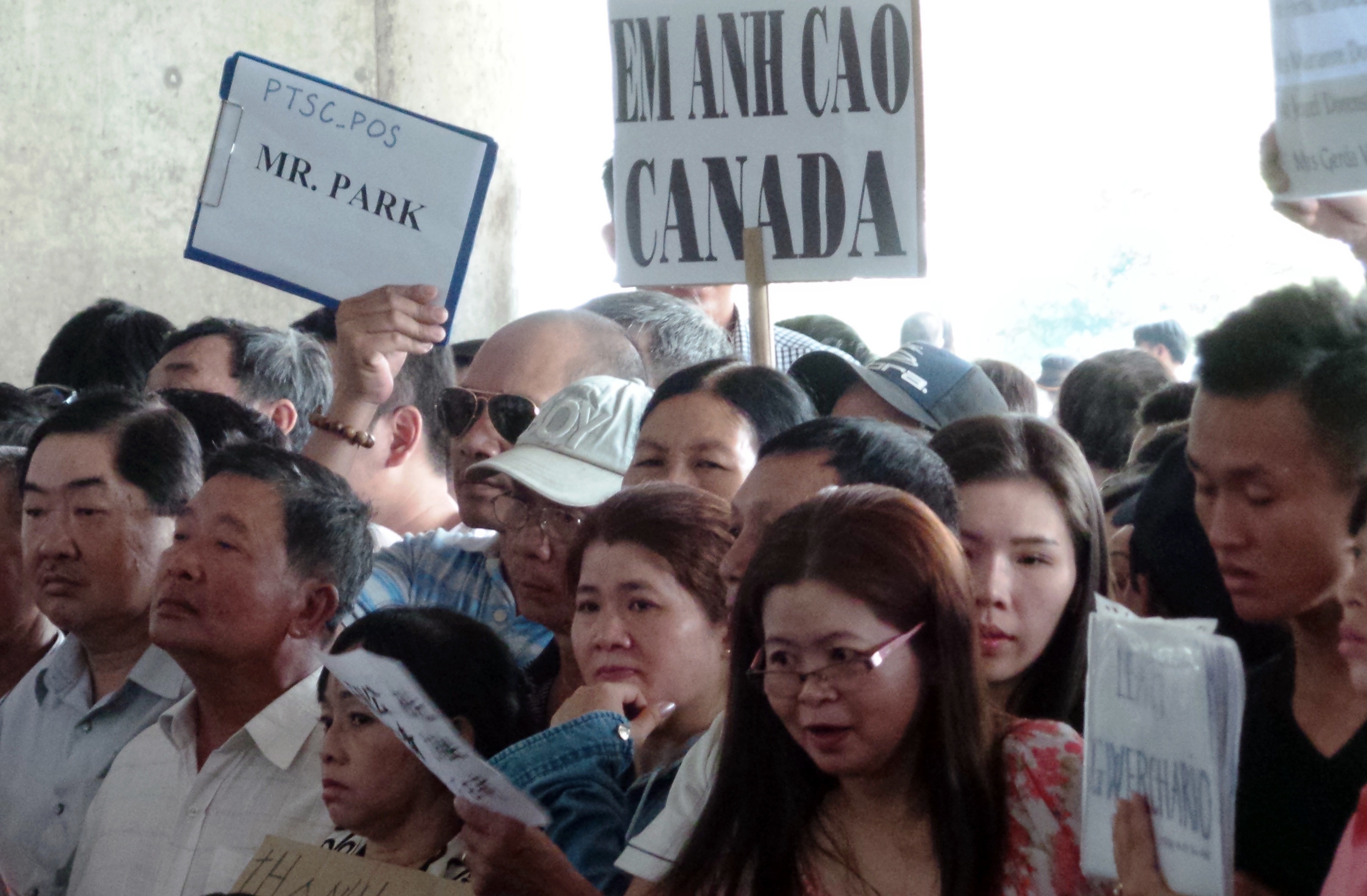 Rung nguoi cho Viet kieu o san bay Tan Son Nhat hinh anh