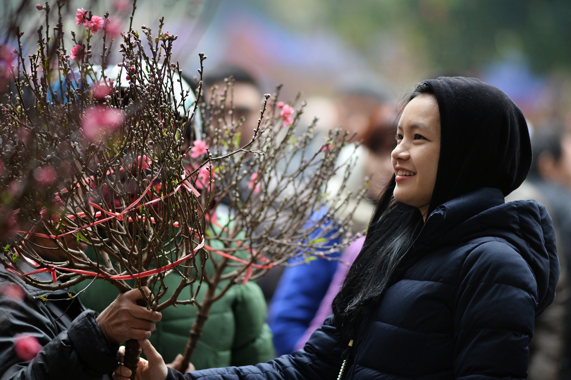Ha Noi, Sai Gon ngap tran khong khi Tet hinh anh