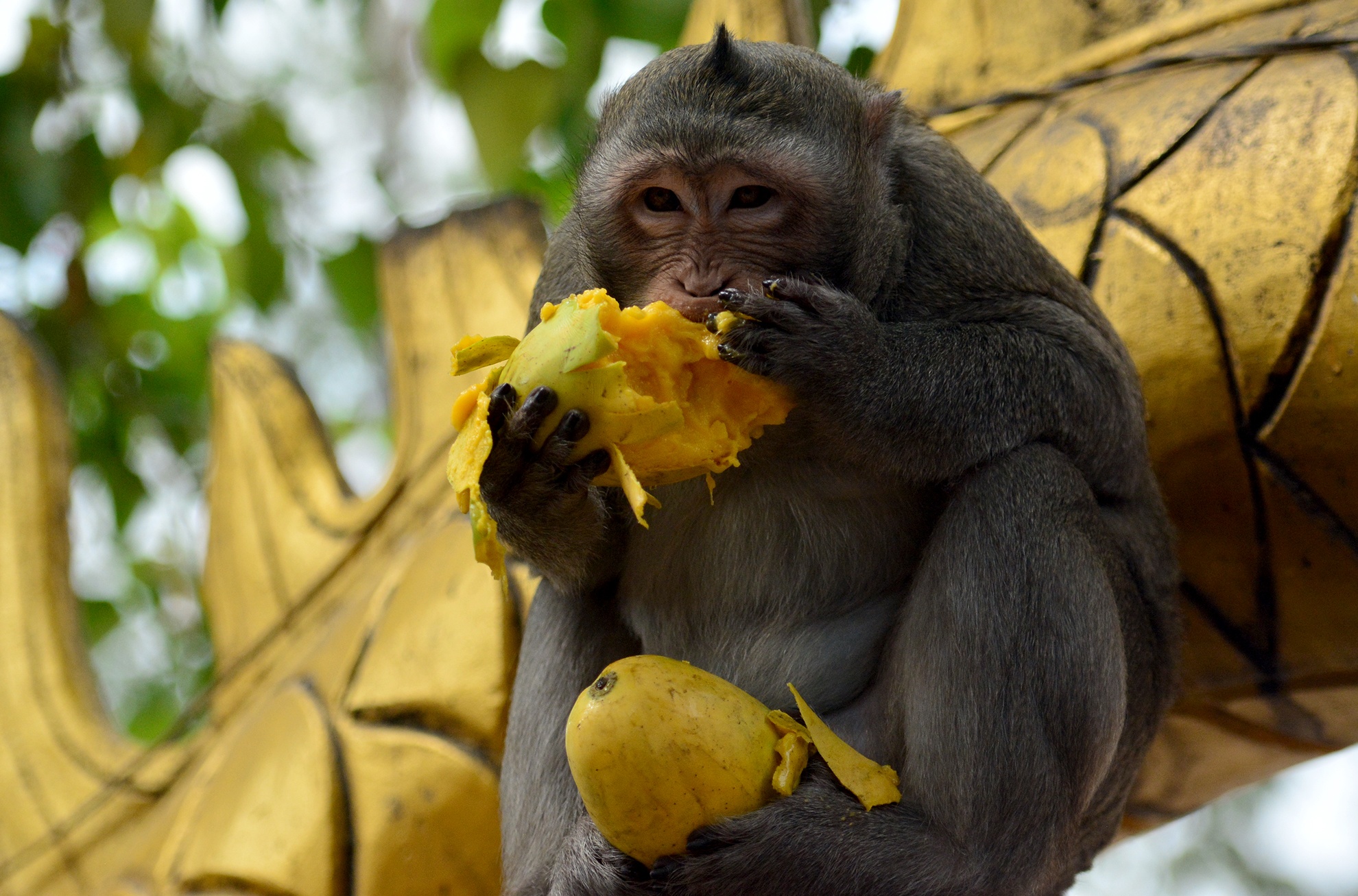 Bay khi nuong nho noi cua phat hinh anh