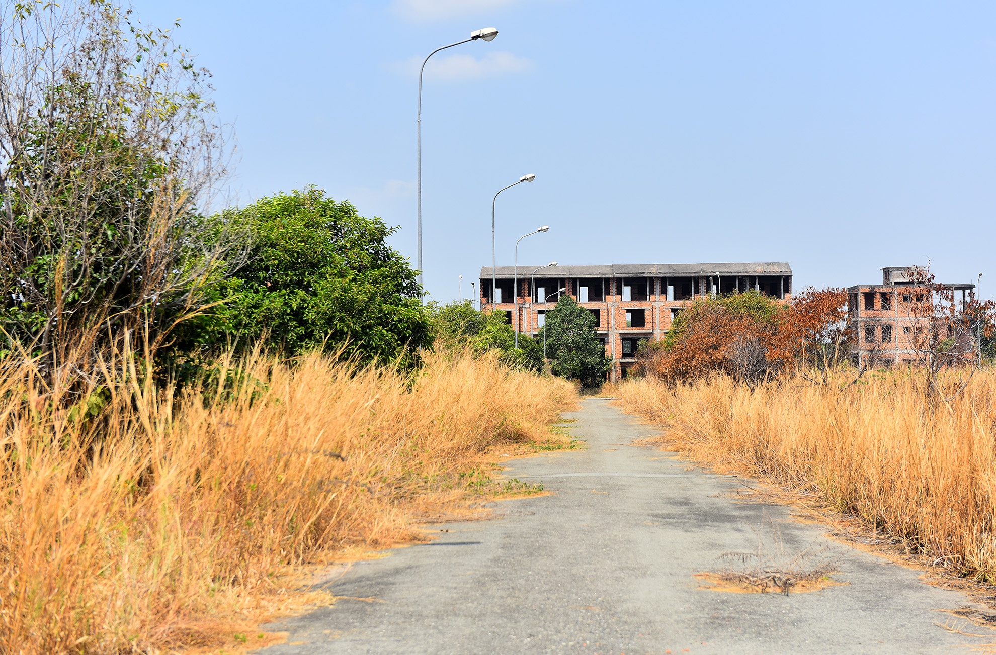 biet thu sang trong bo hoang anh 15