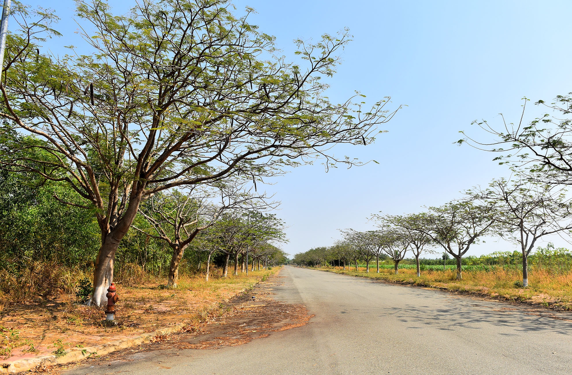 biet thu sang trong bo hoang anh 3