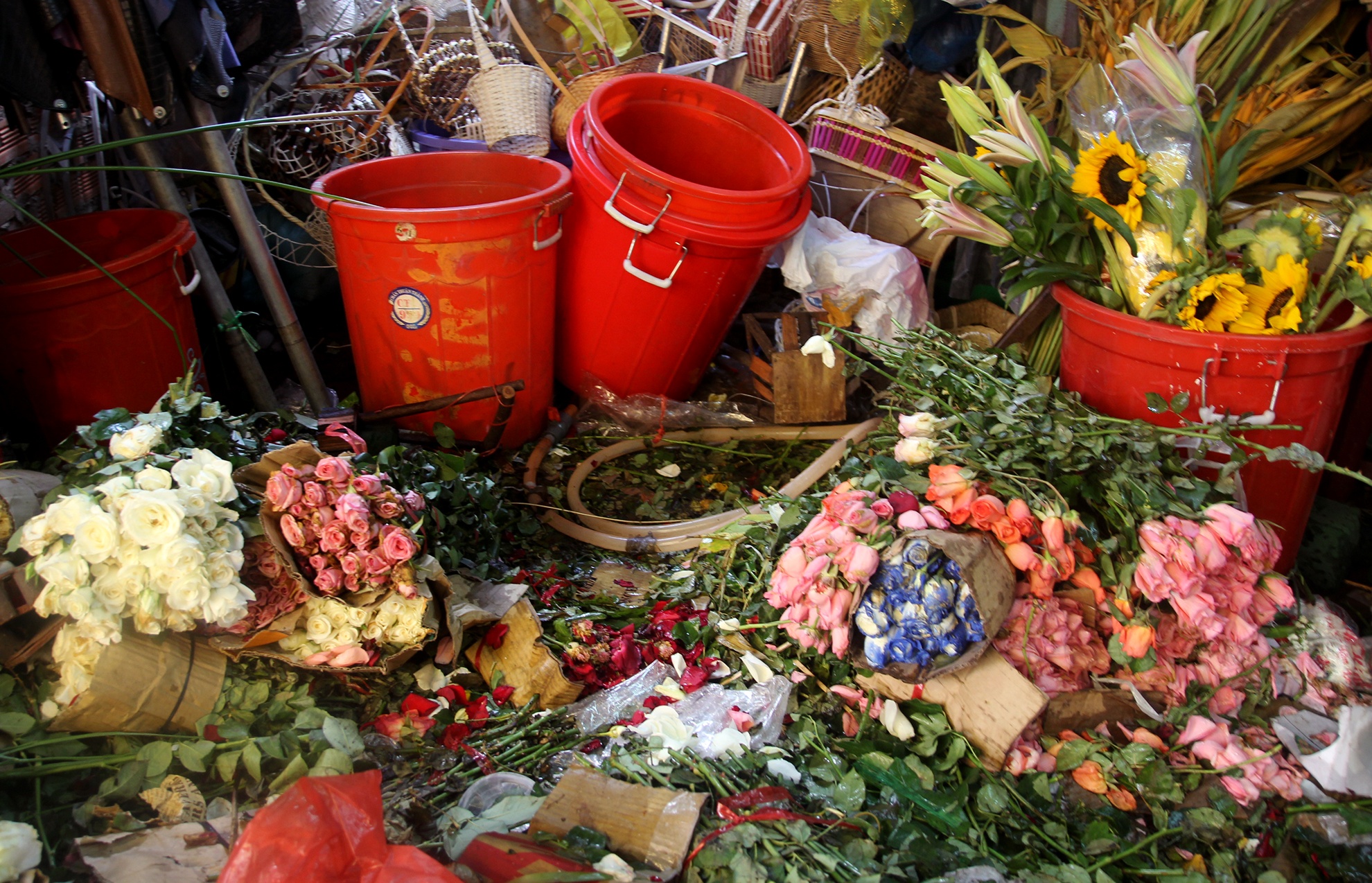 rac hoa,  8/3,  TP HCM,  chat dong anh 3