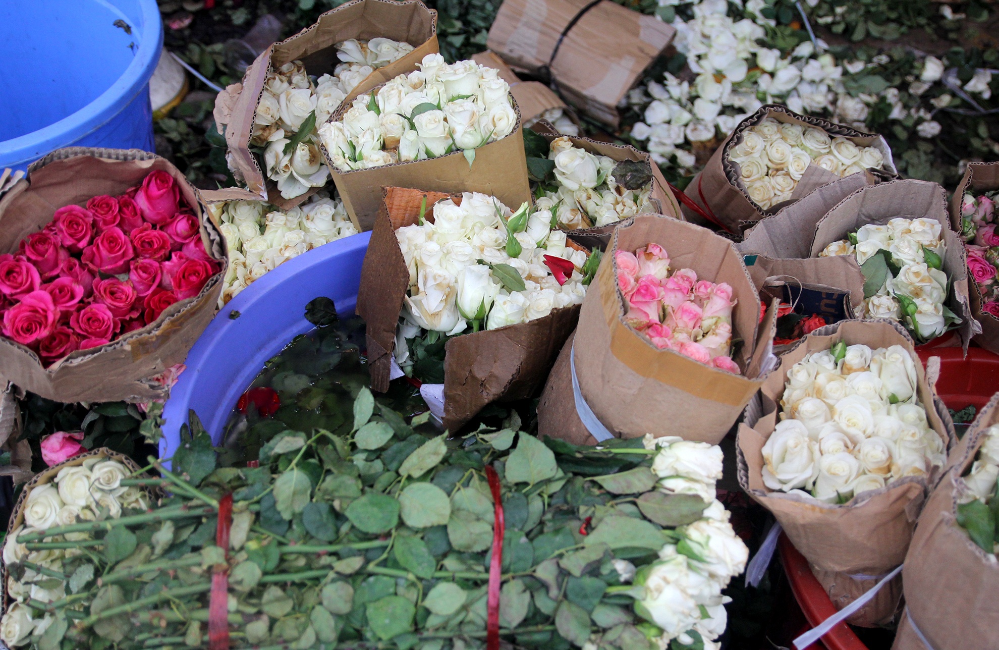 rac hoa,  8/3,  TP HCM,  chat dong anh 6