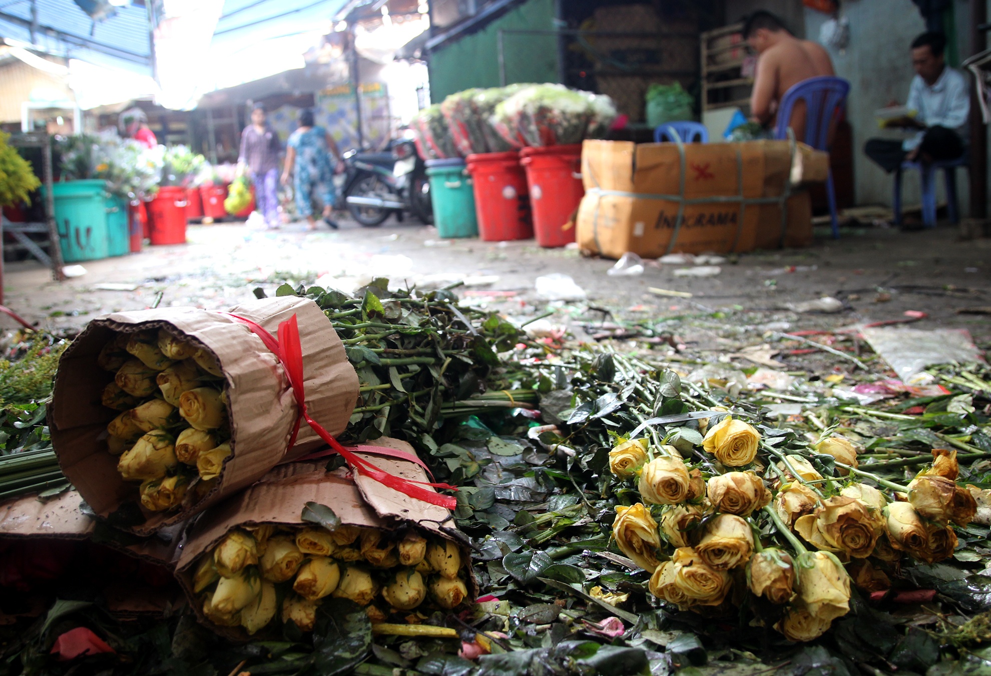 rac hoa,  8/3,  TP HCM,  chat dong anh 8