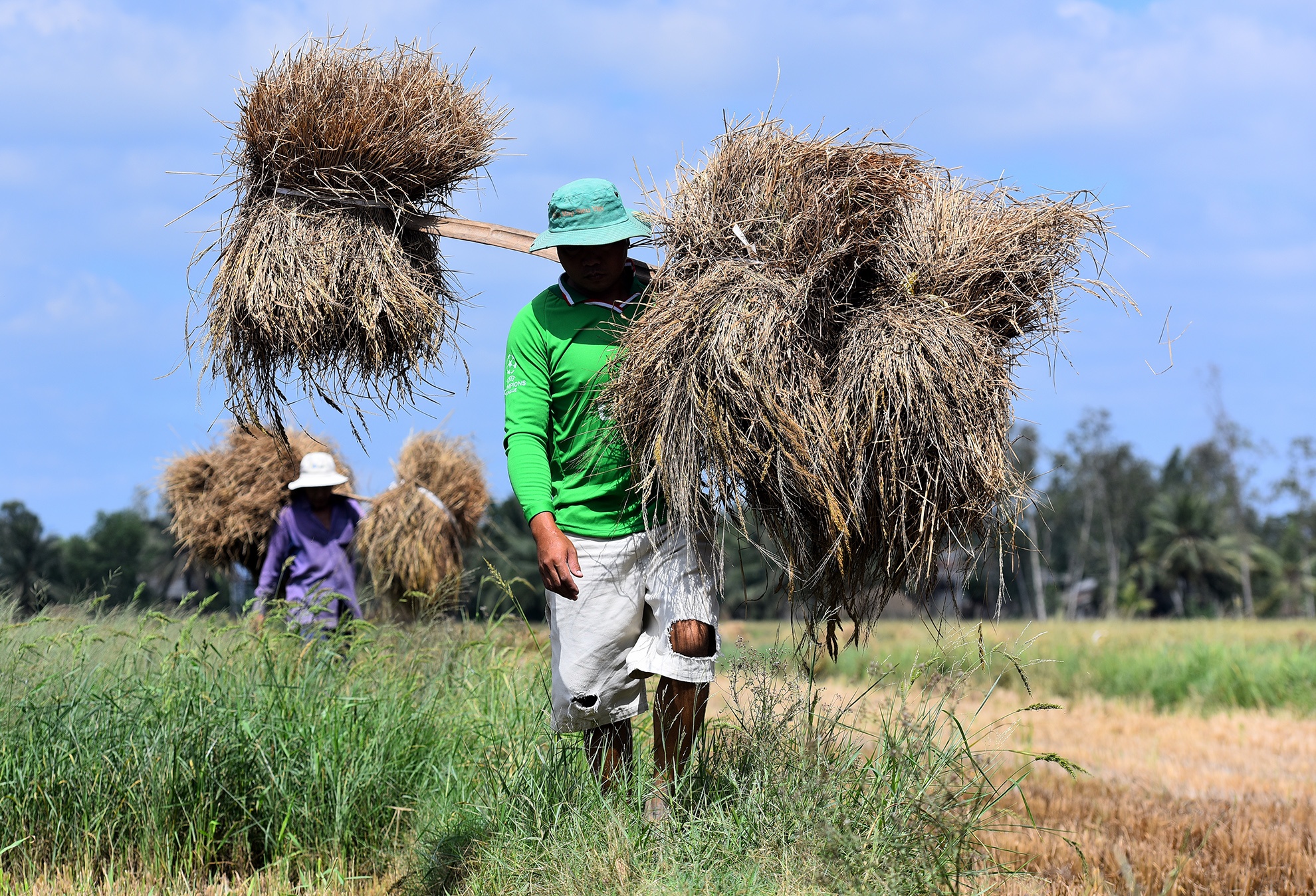 DBSCL thieu nuoc ngot anh 2