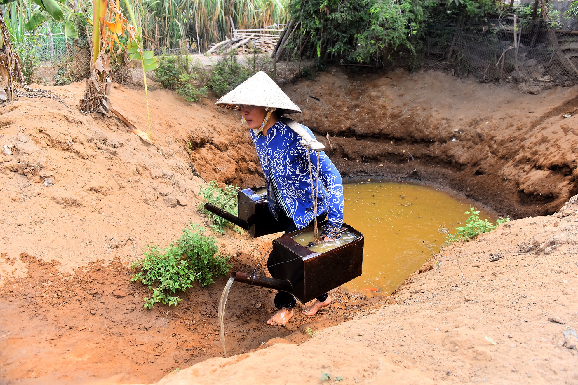 DBSCL thieu nuoc ngot anh 4