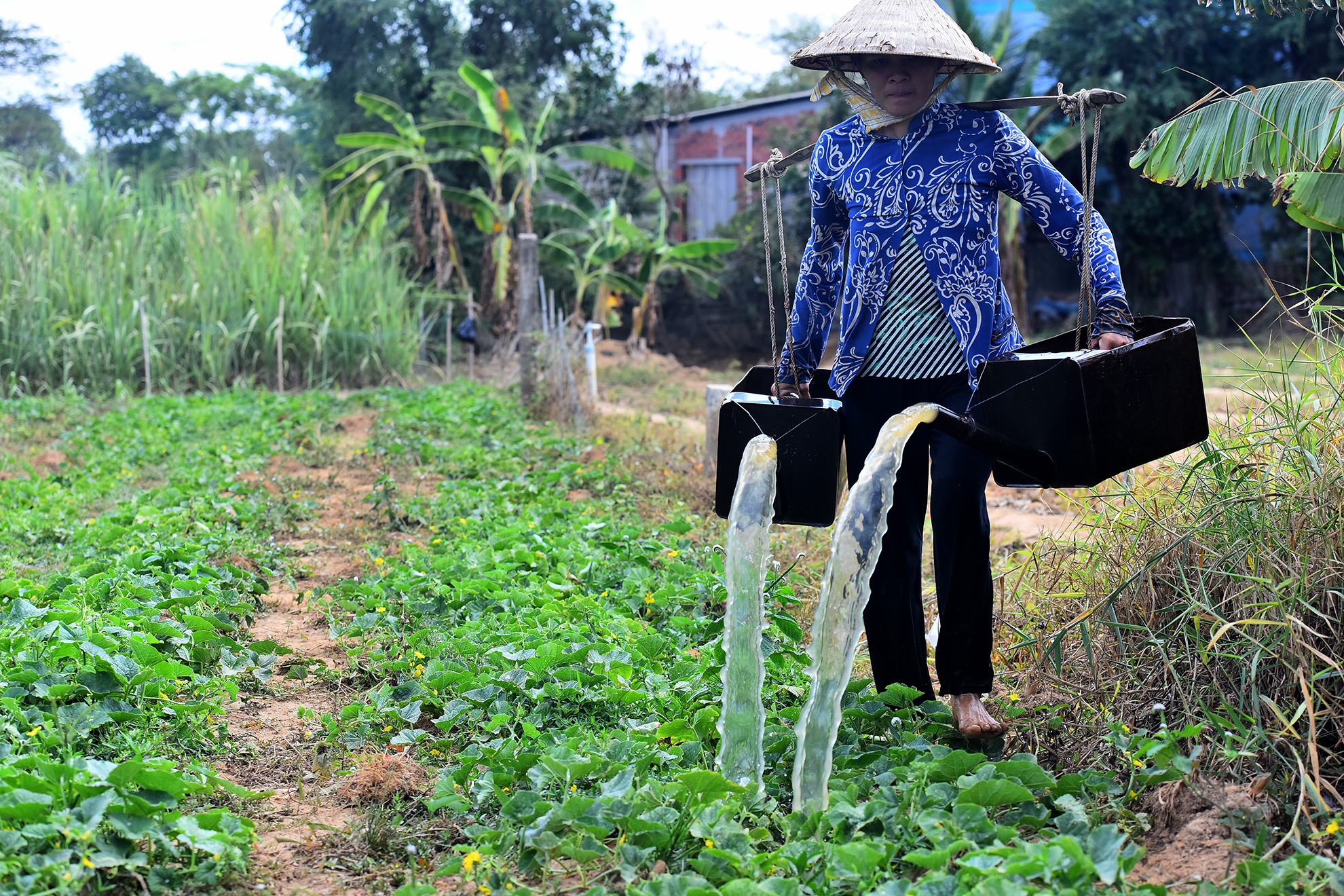 DBSCL thieu nuoc ngot anh 5