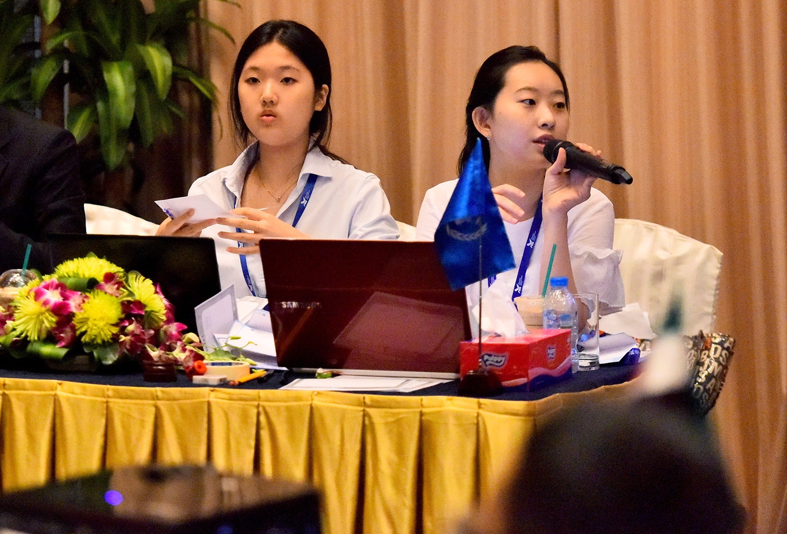 Hoi nghi Mo hinh Lien Hiep quoc anh 10