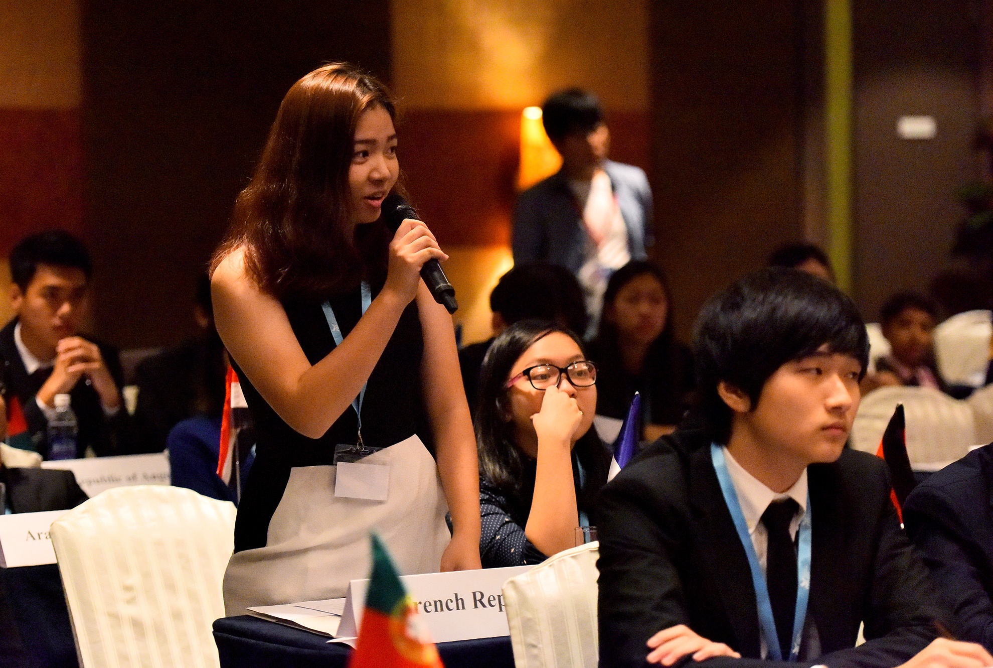 Hoi nghi Mo hinh Lien Hiep quoc anh 14