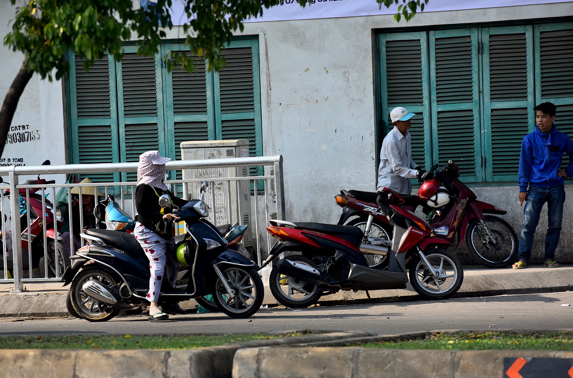 via he cho nguoi di bo anh 14