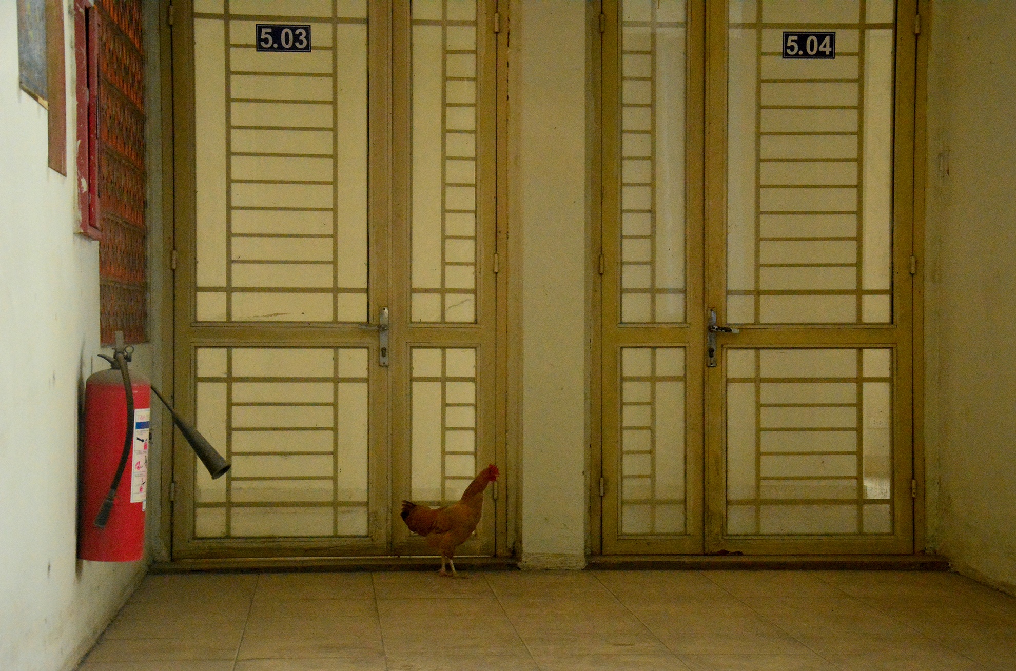 chung cu tai dinh cu anh 15