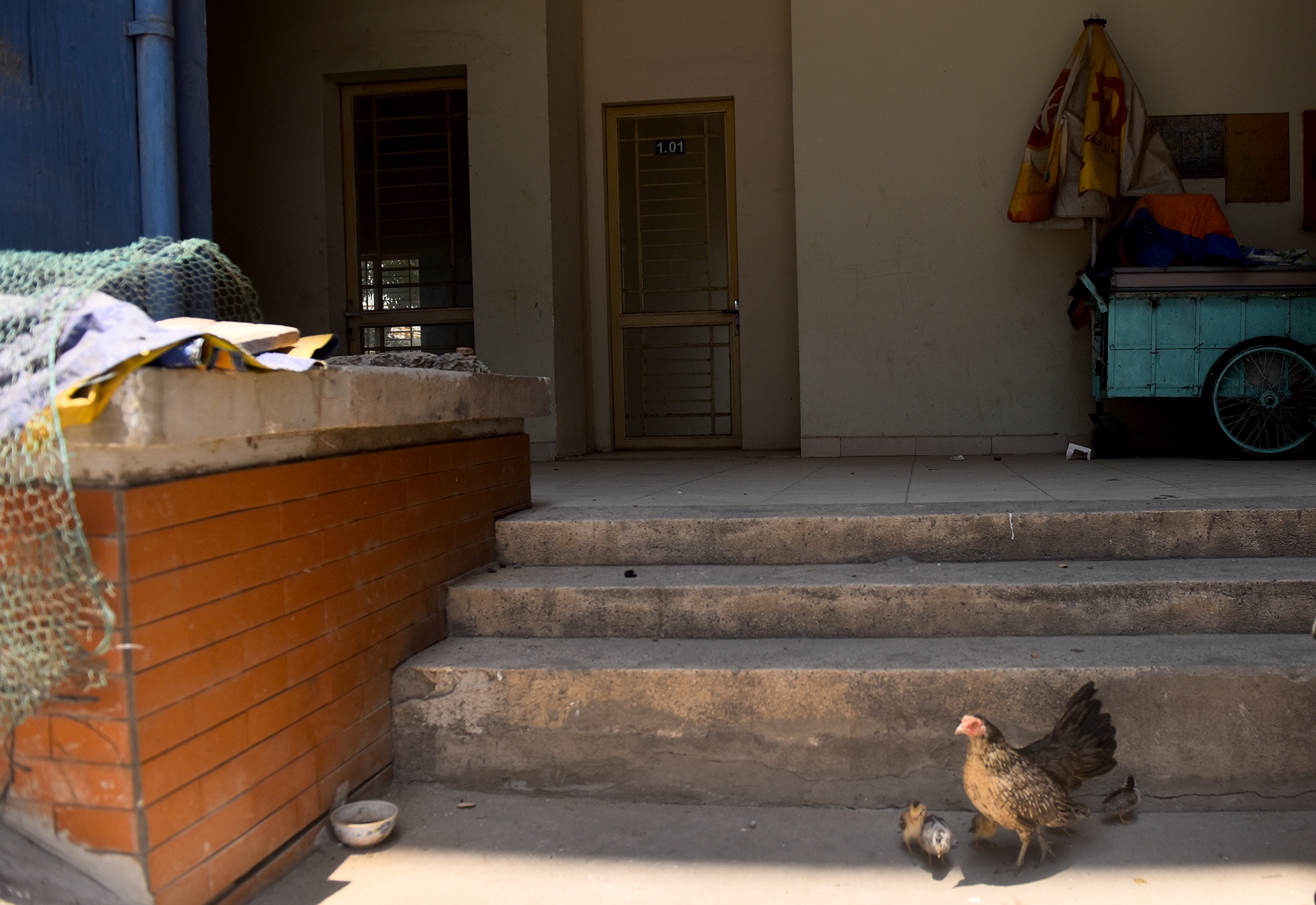 chung cu tai dinh cu anh 16