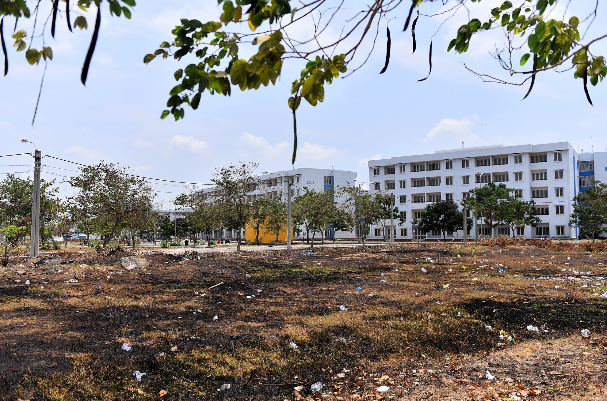 chung cu tai dinh cu anh 9