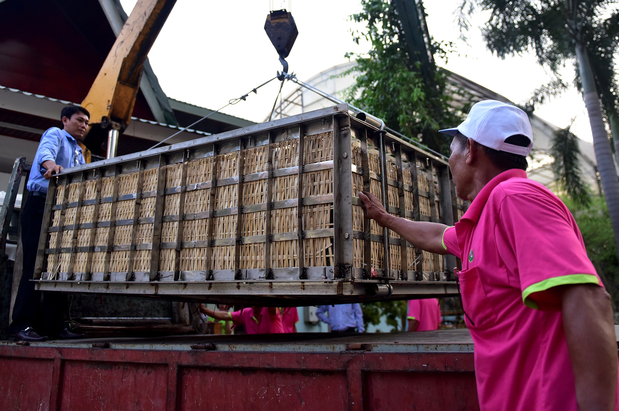 banh chung 2, 5 tan anh 14