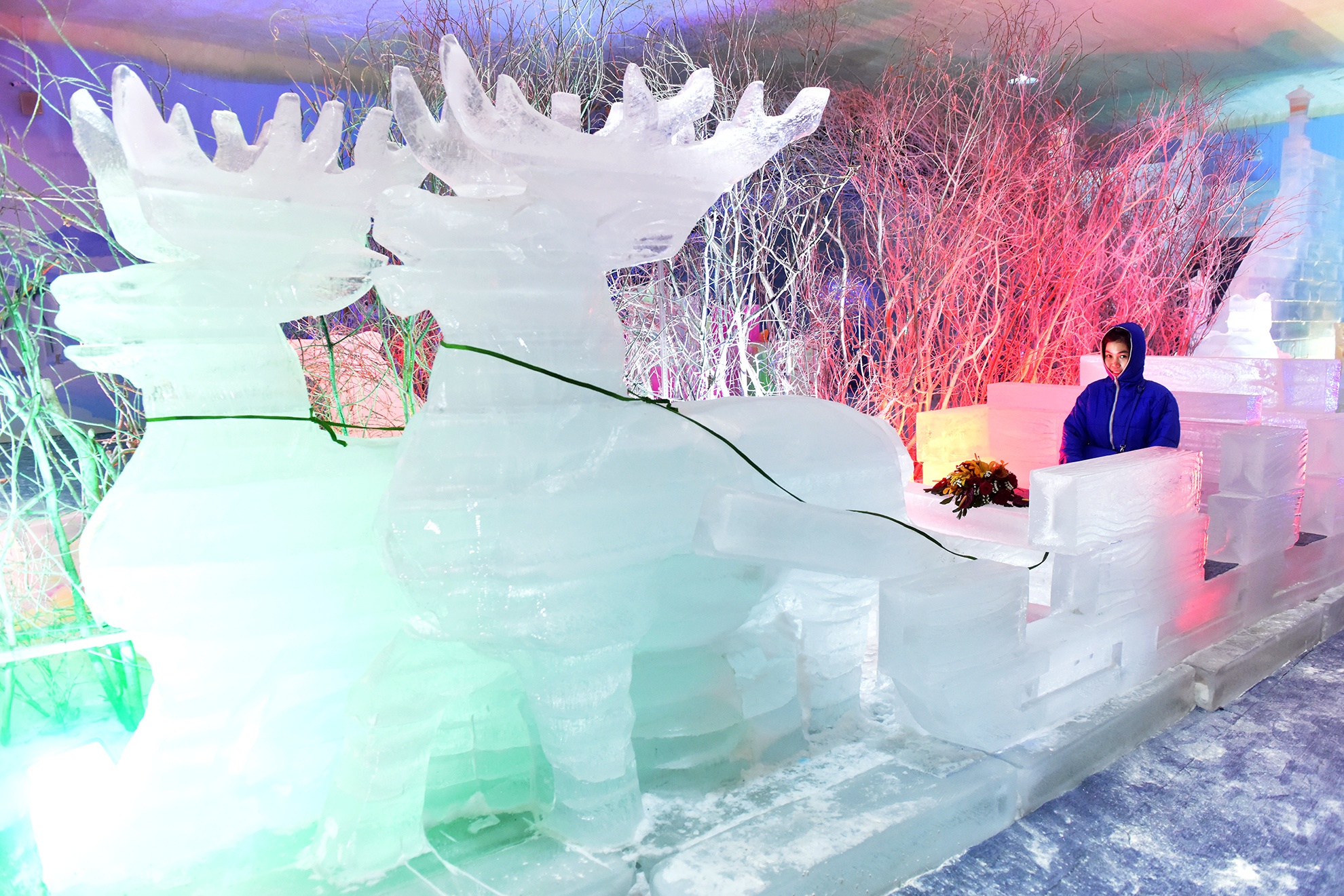 Gioi tre no dua voi bang tuyet o Sai Gon anh 8