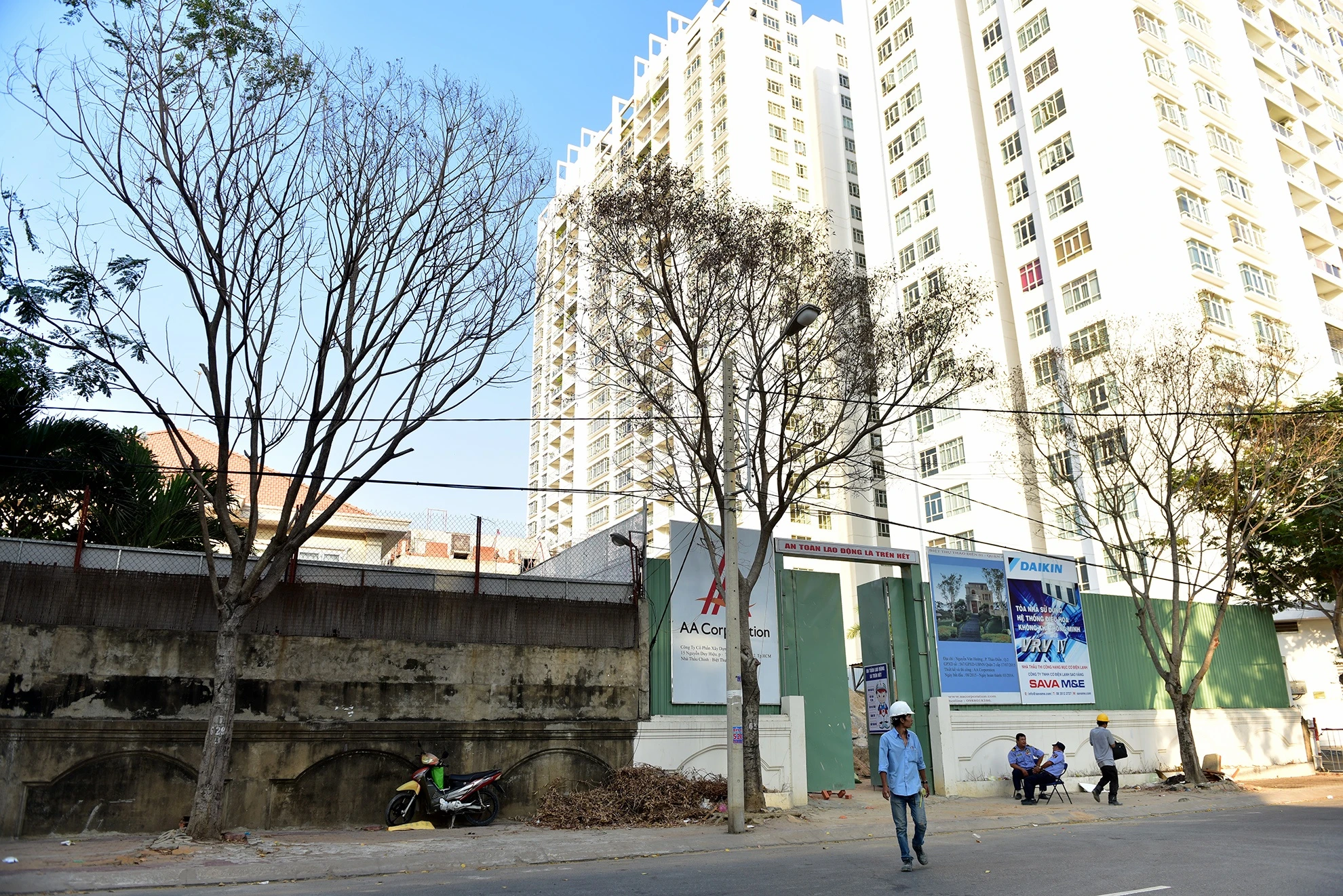 cay xanh o TP HCM chet bat thuong anh 14