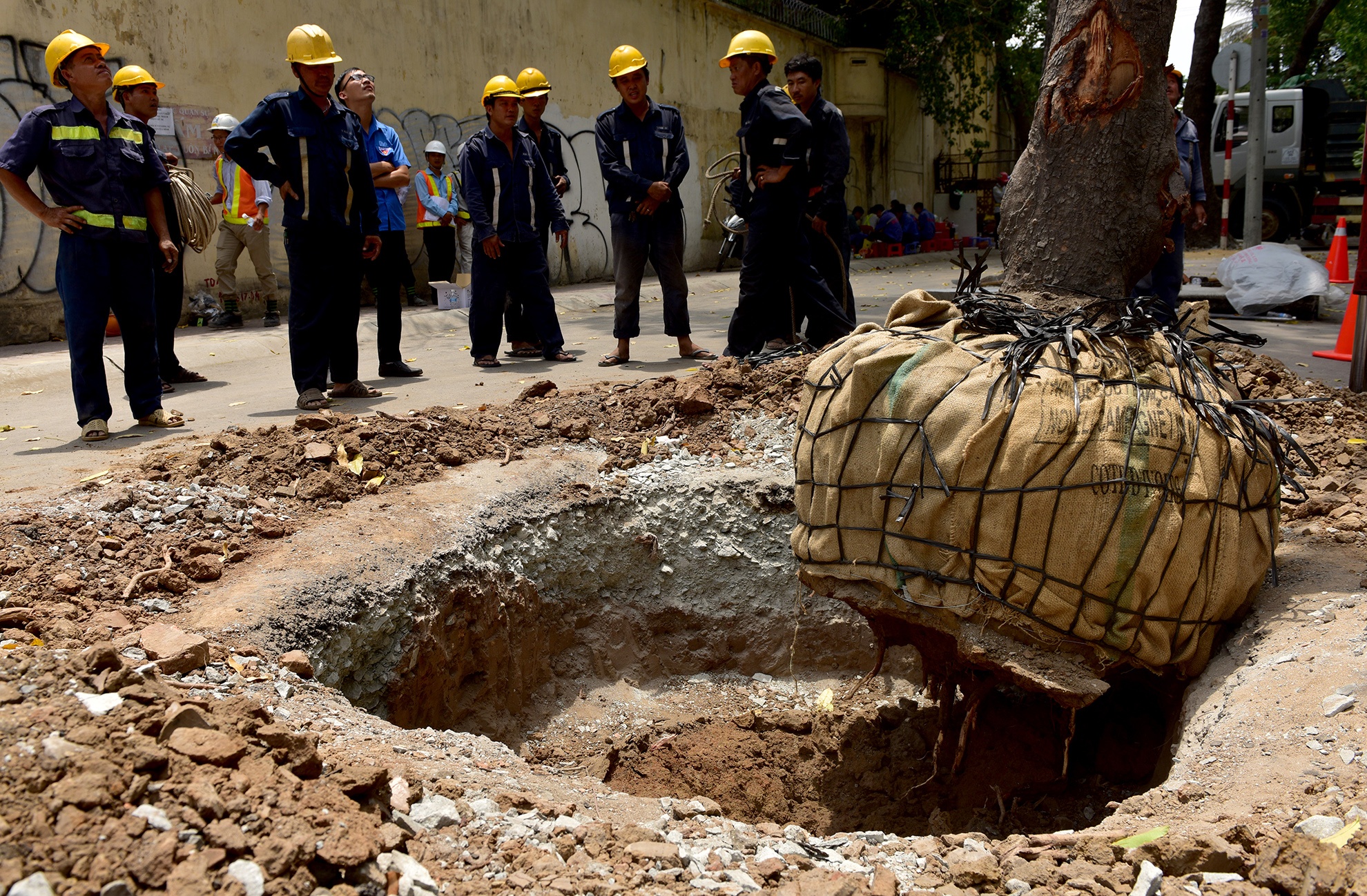 Bung 14 cay xanh o tuyen duong dep Sai Gon hinh anh