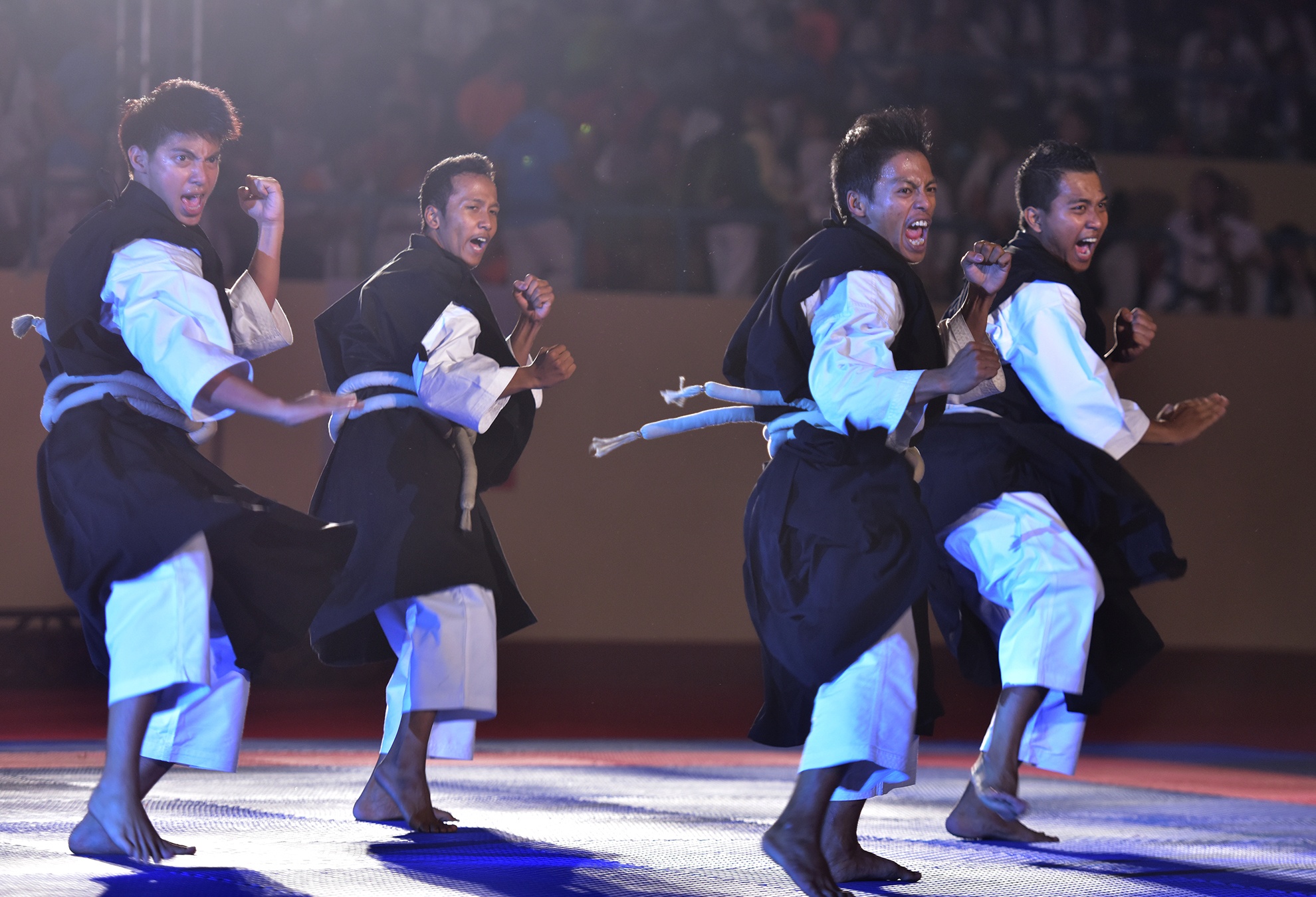 Lien hoan vo quoc te TP HCM 2016 anh 11