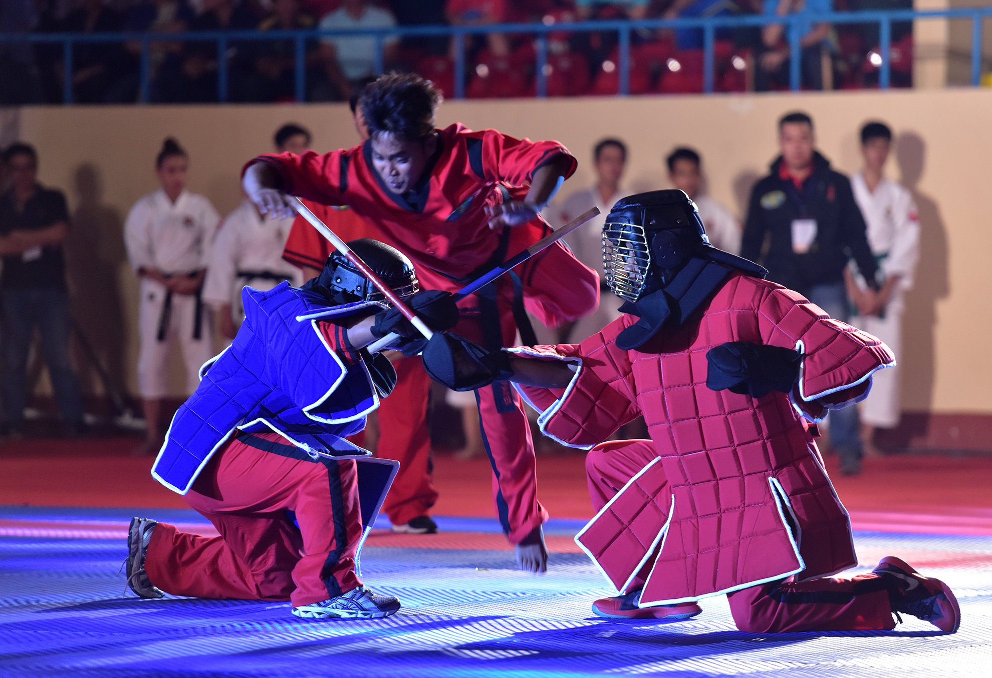 Lien hoan vo quoc te TP HCM 2016 anh 15