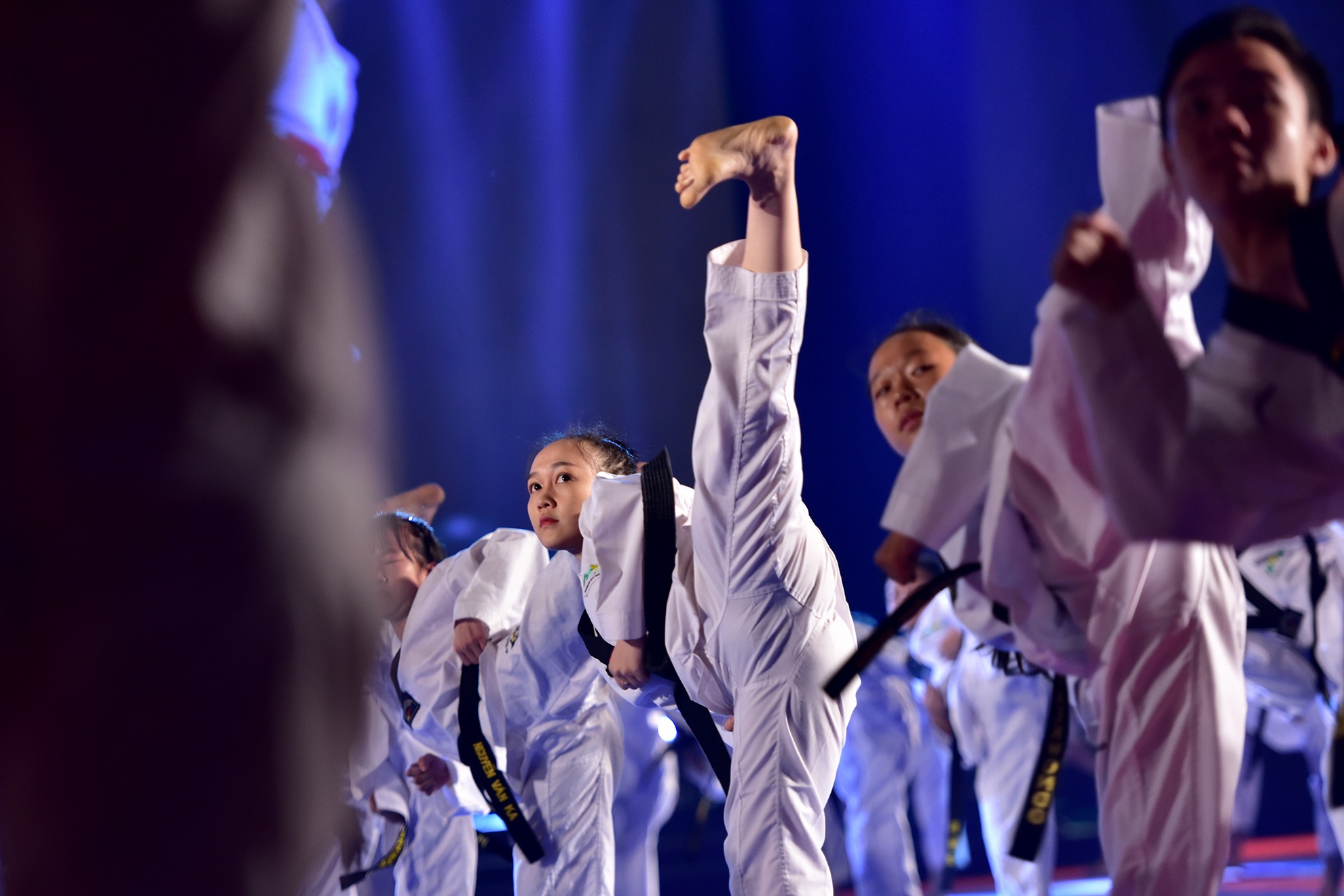 Lien hoan vo quoc te TP HCM 2016 anh 4