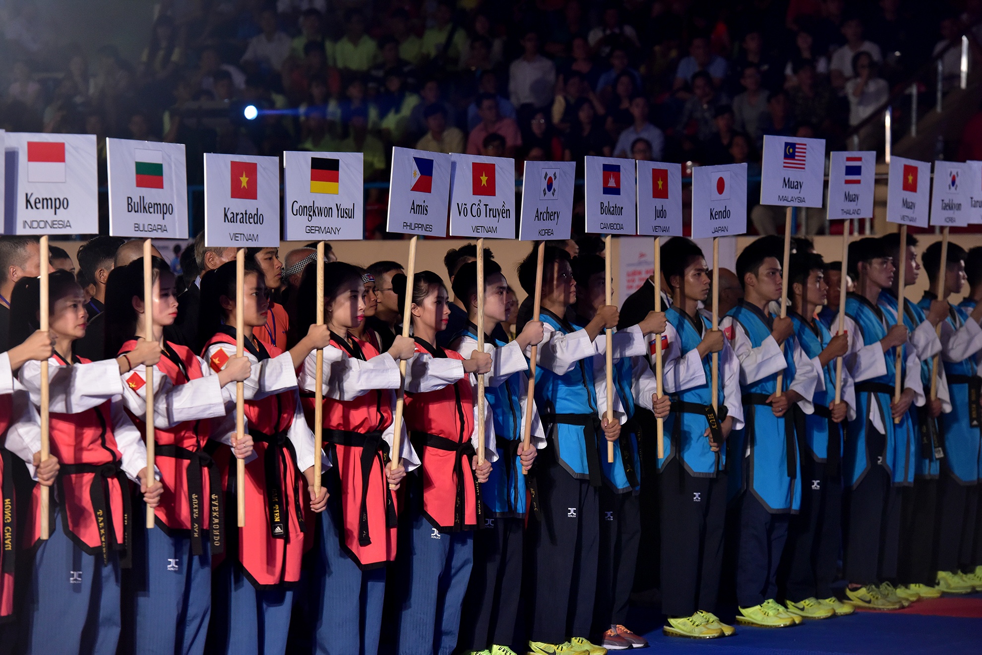 Lien hoan vo quoc te TP HCM 2016 anh 1