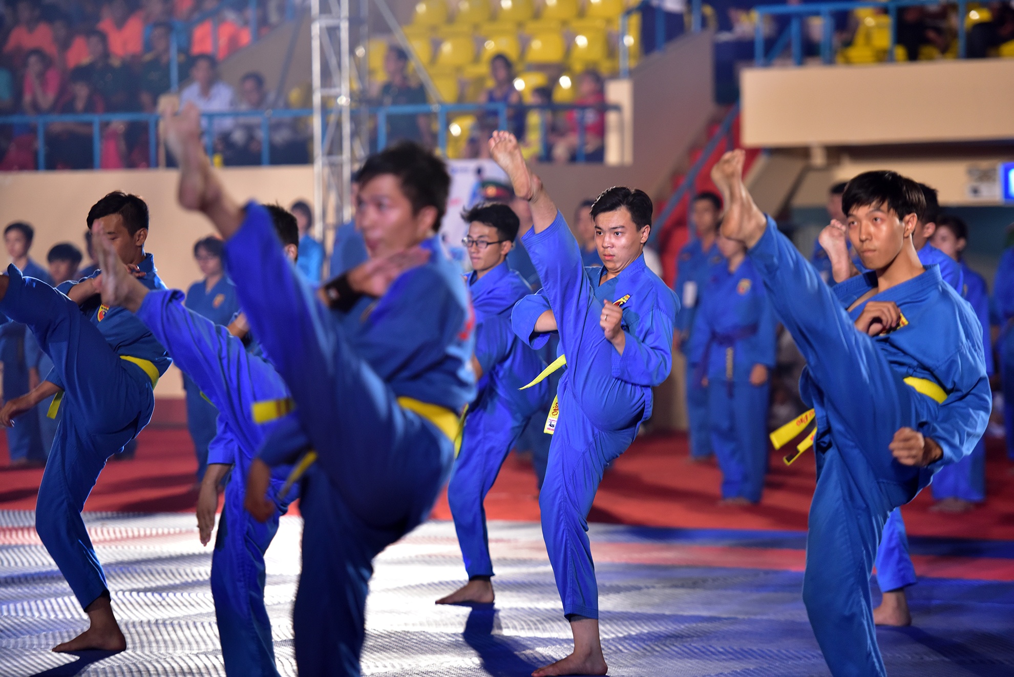 Lien hoan vo quoc te TP HCM 2016 anh 5