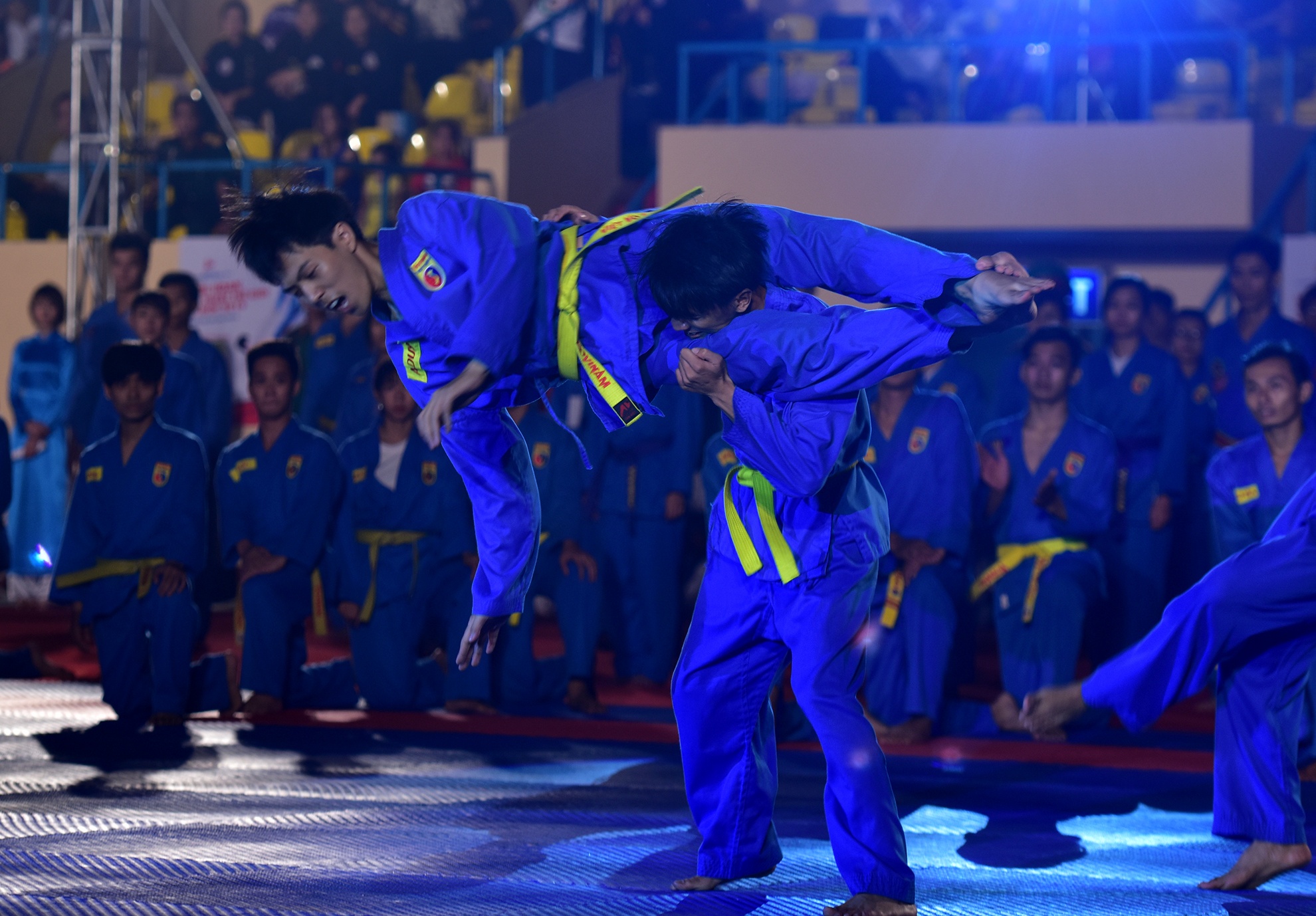 Lien hoan vo quoc te TP HCM 2016 anh 7