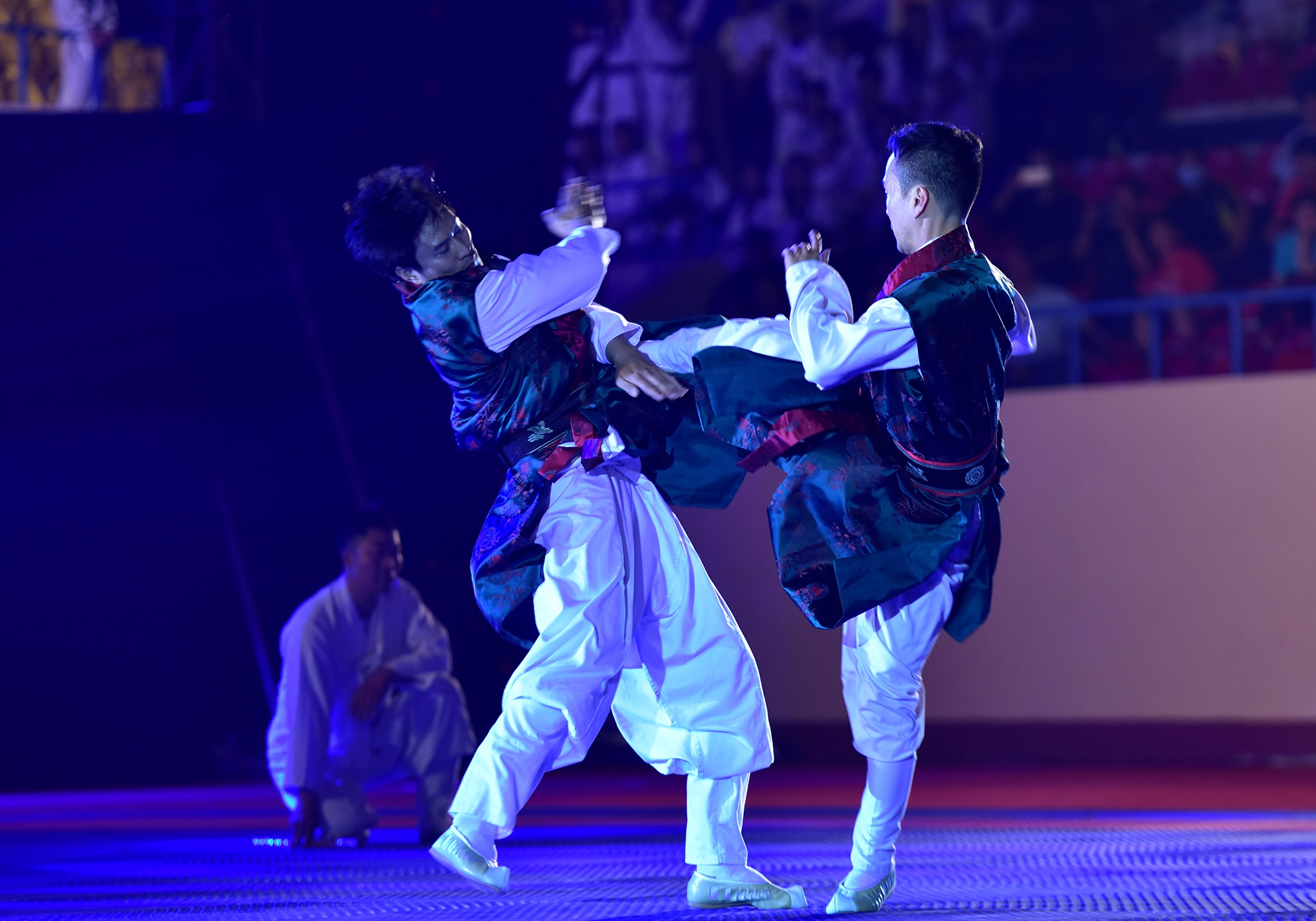 Lien hoan vo quoc te TP HCM 2016 anh 9