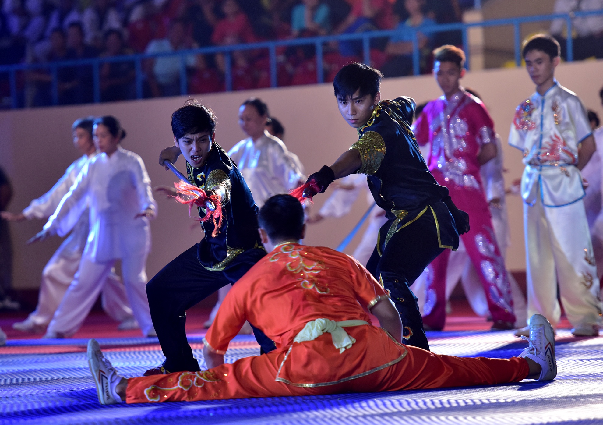 Lien hoan vo quoc te TP HCM 2016 anh 10