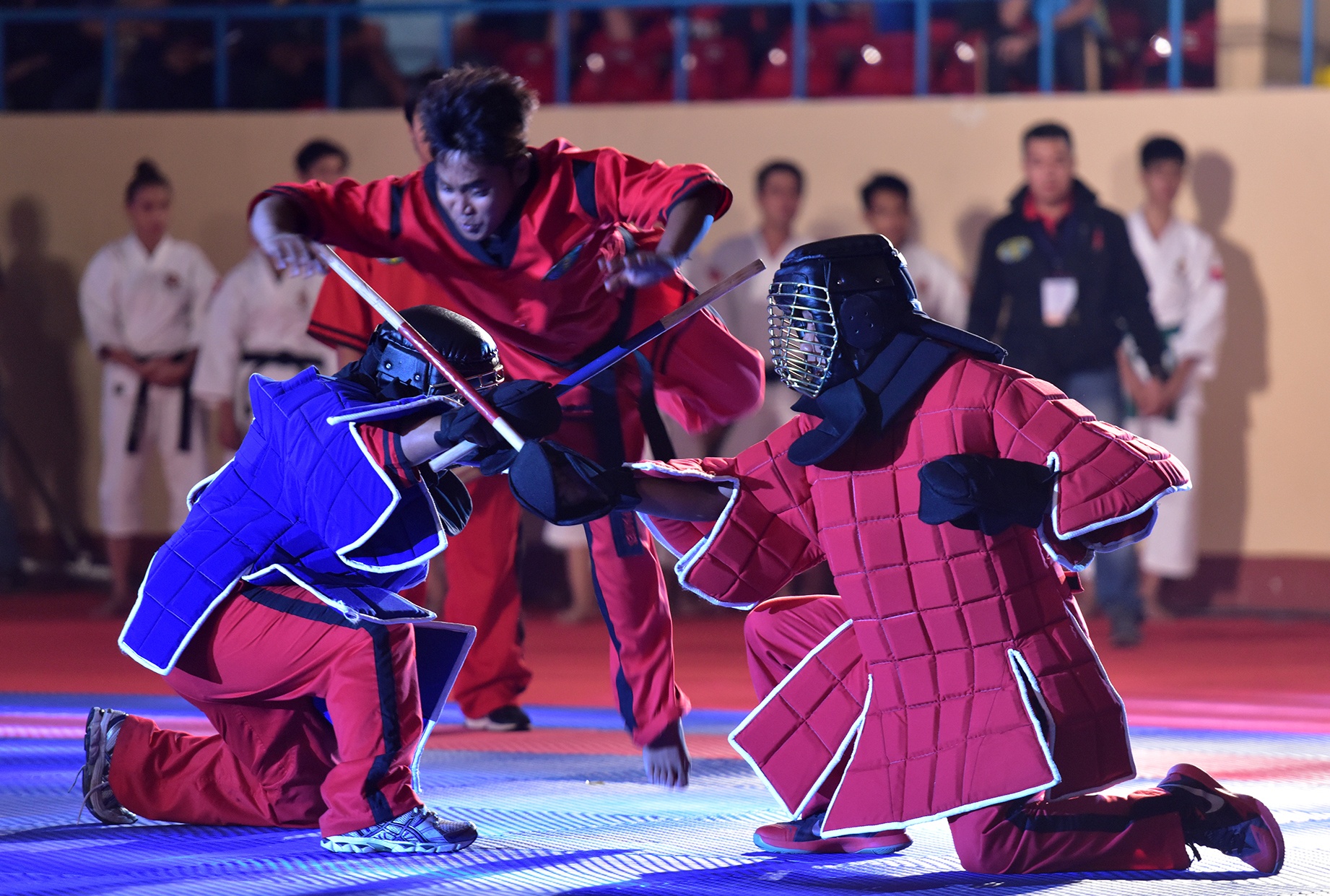 Nhieu mon vo la tren the gioi trinh dien o TP HCM hinh anh