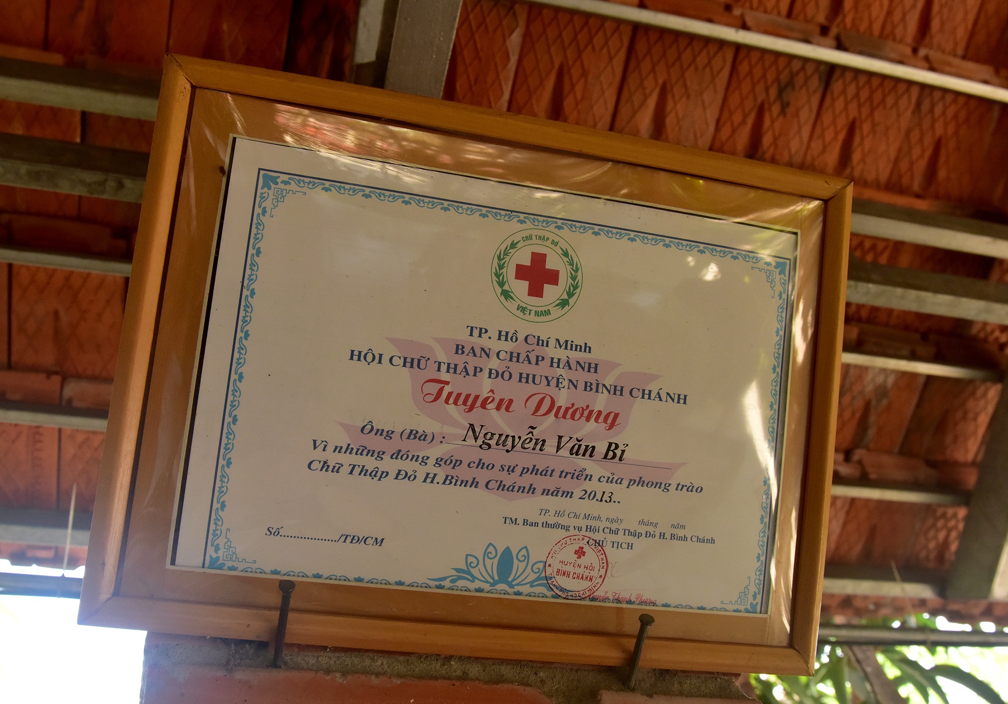 dung choi nuoi vit cung bi khoi to anh 13